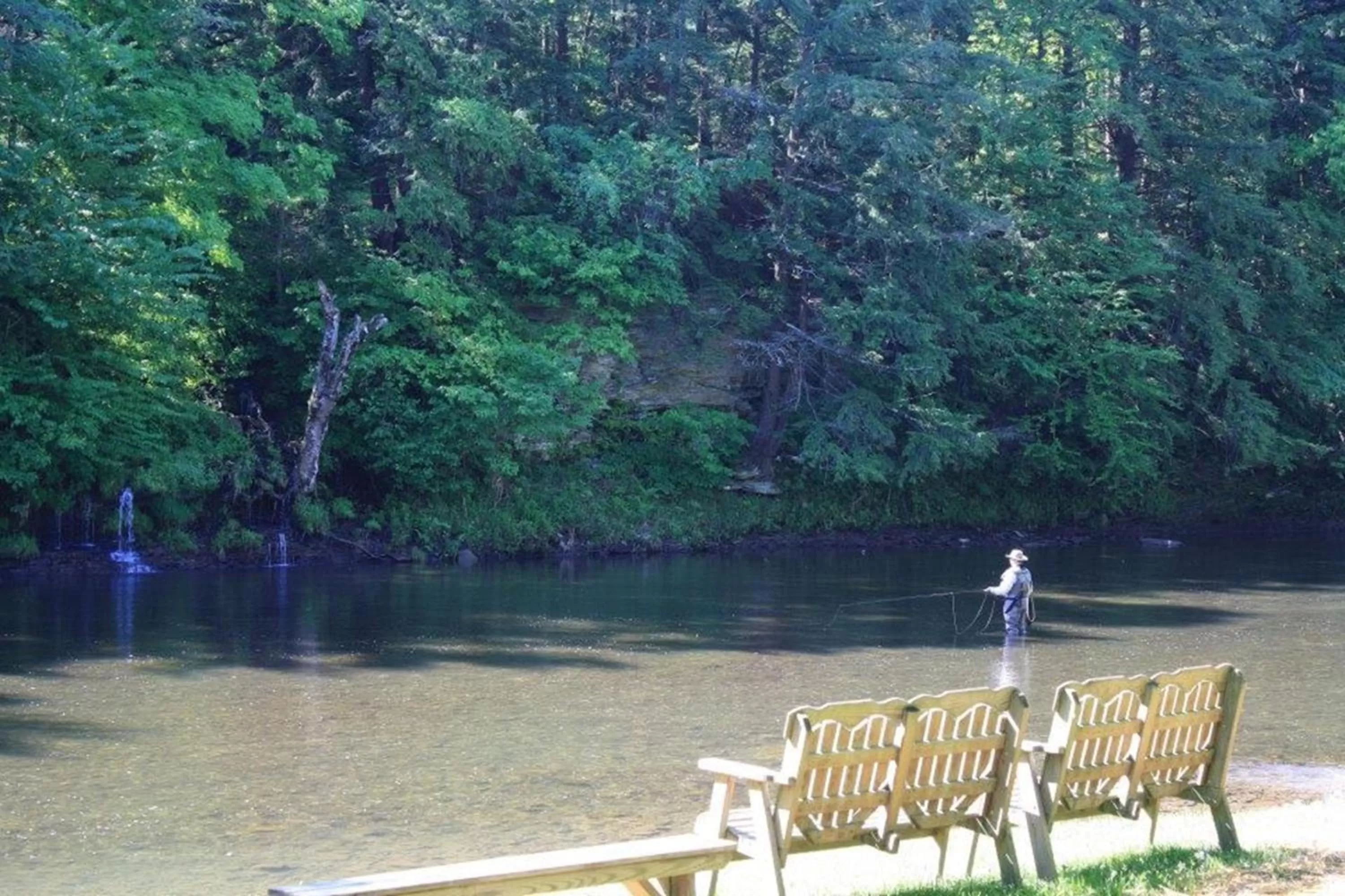 River view in Rough Cut Lodge