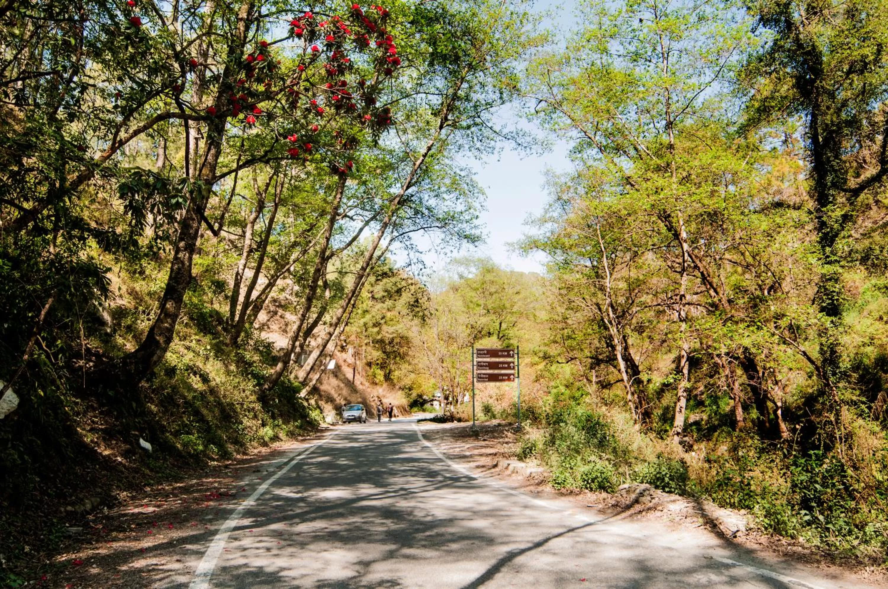 View (from property/room) in DreamCatcher By Samyati Hotels and Resorts