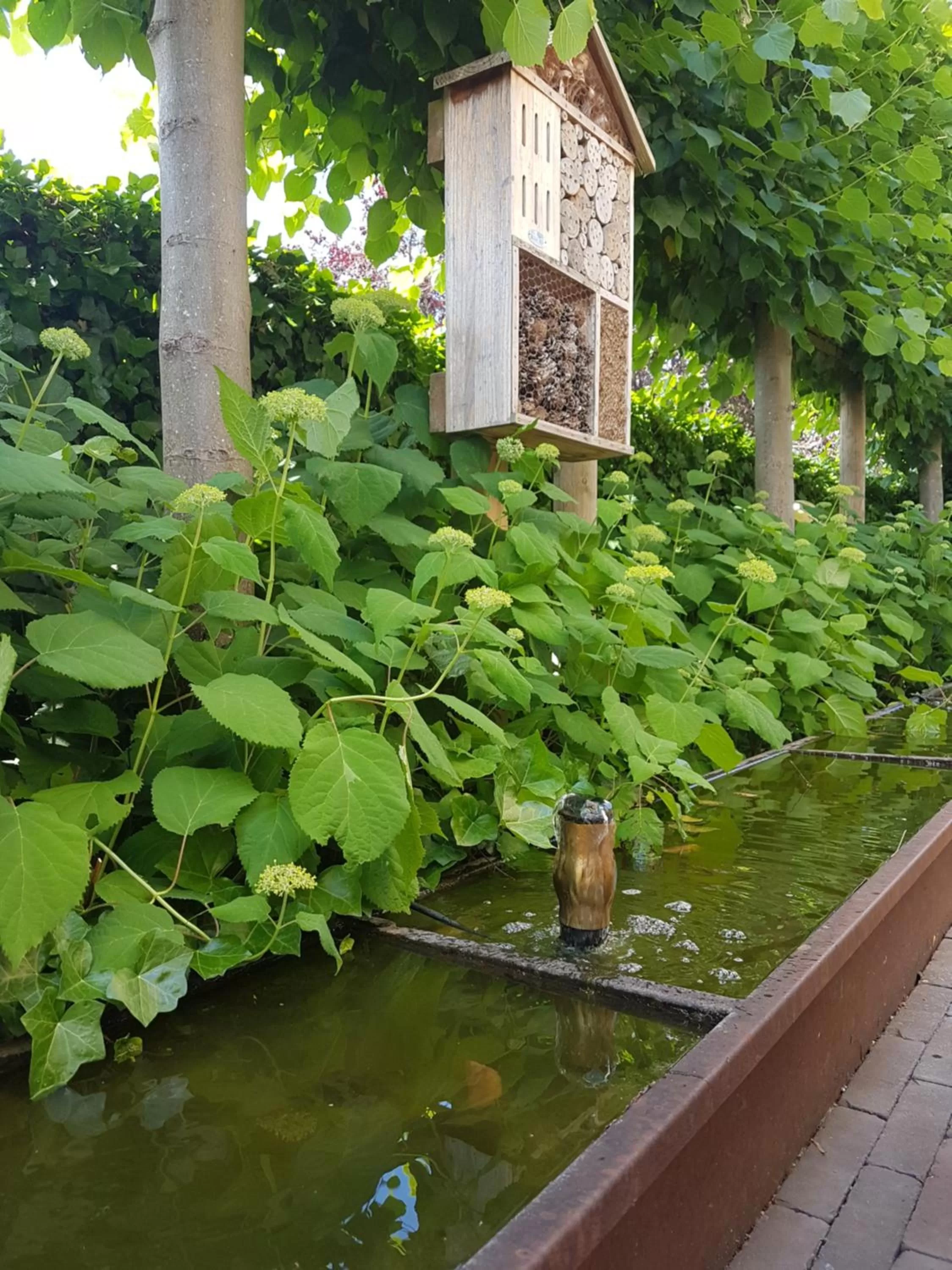 Garden in Hotel Essenza