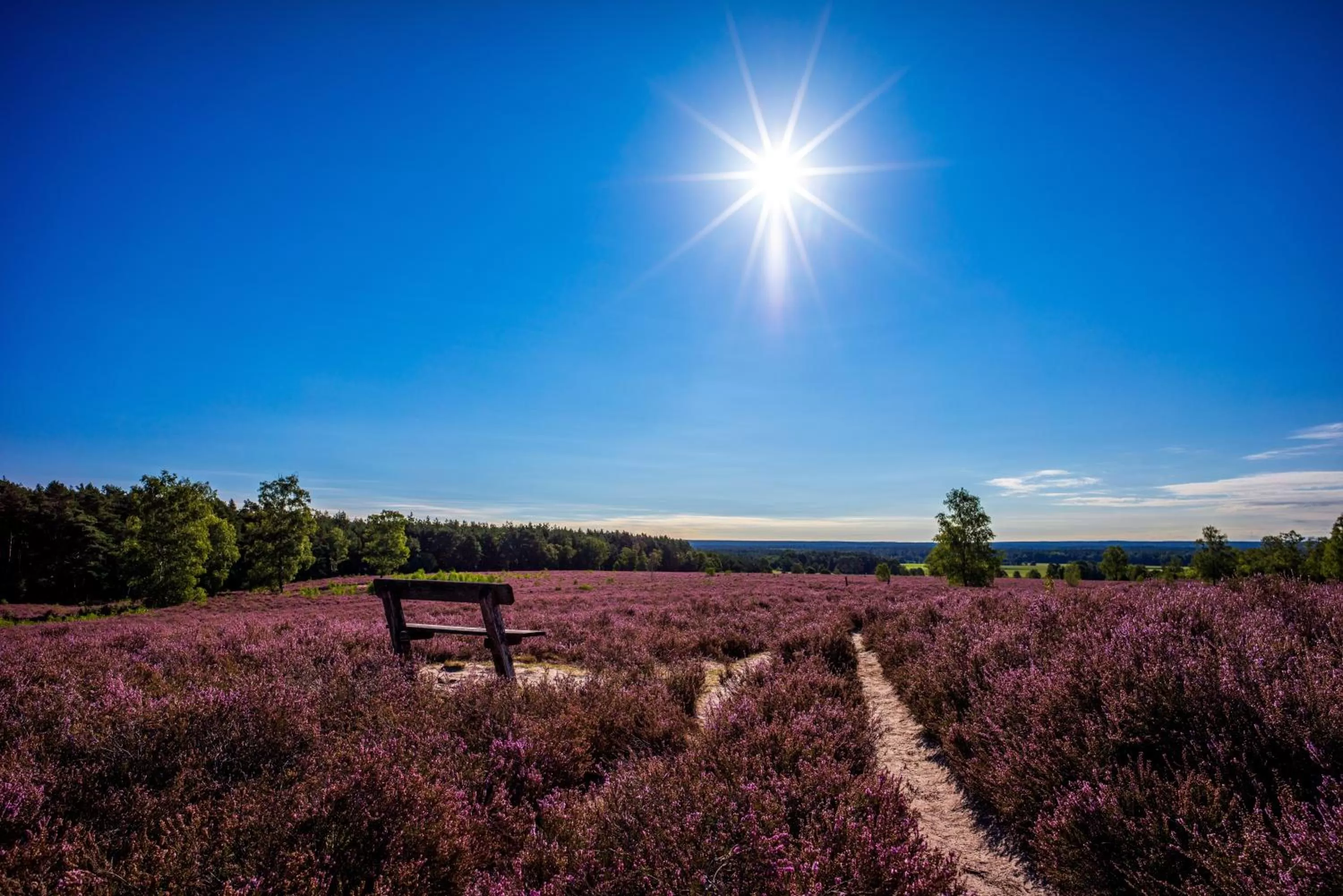 Hiking in Flair Hotel Zur Eiche