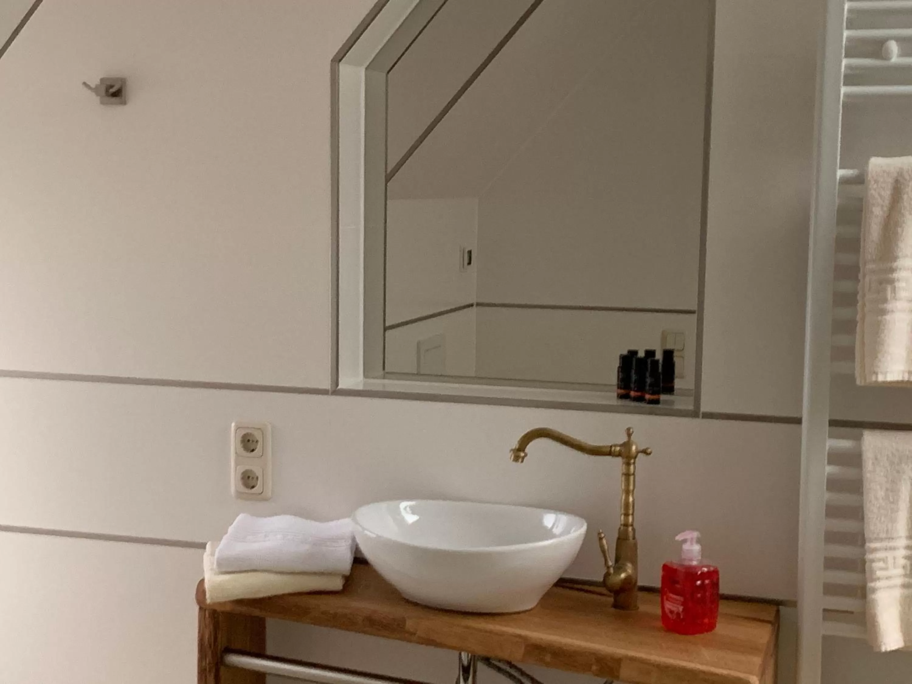 Decorative detail, Bathroom in Hotel Inselhof