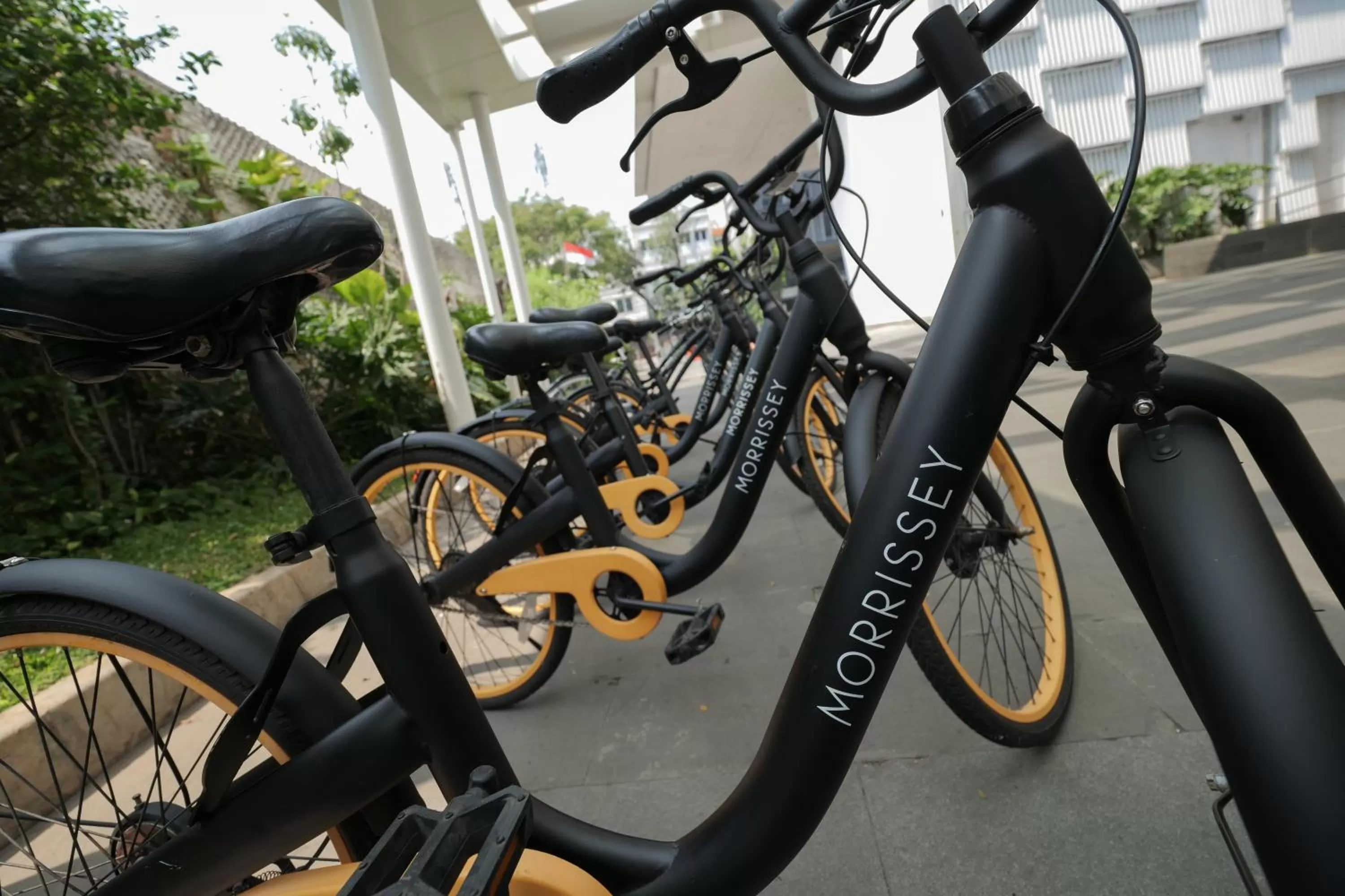 Area and facilities in Morrissey Hotel