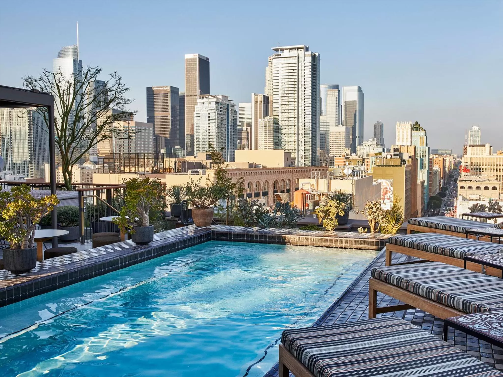 Pool view in Downtown Los Angeles Proper Hotel, a Member of Design Hotels