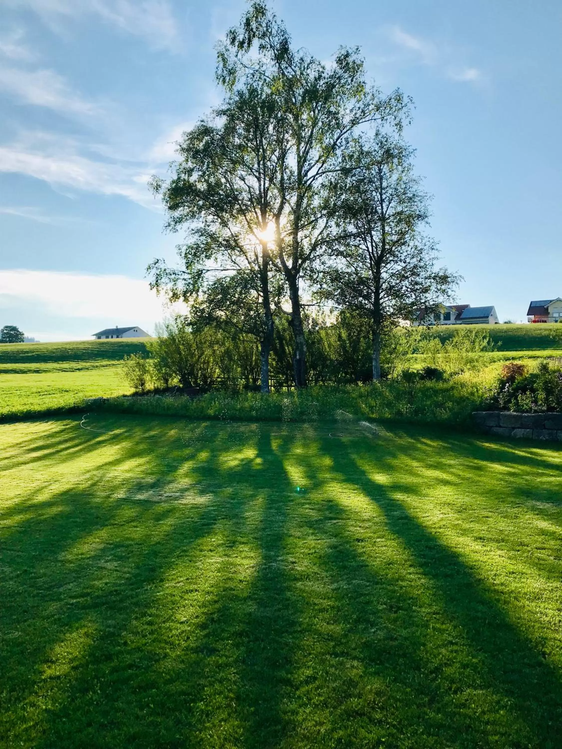 Natural landscape, Garden in Alpenloge Hotel