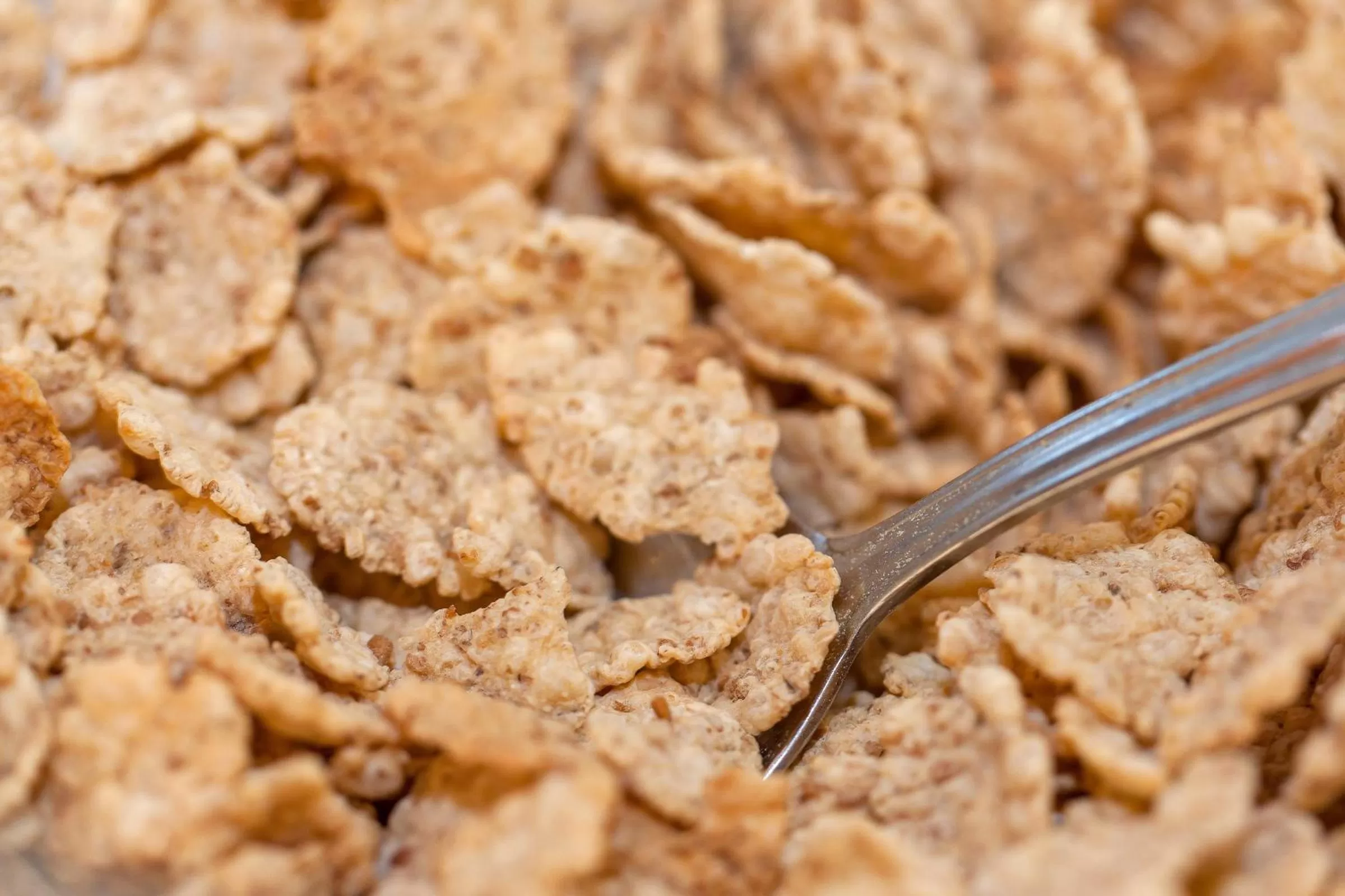 Food in Aparthotel Duquesa Playa