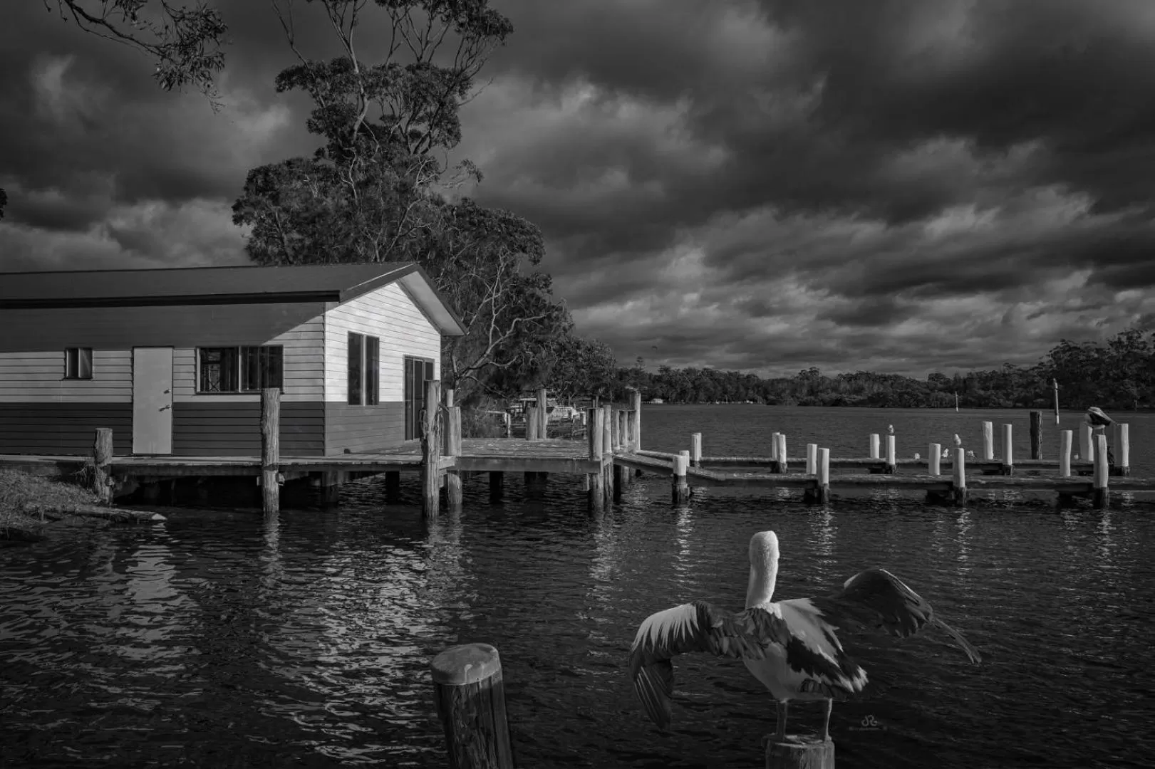 River view in Peace Resorts - Jervis Bay Holiday Cabins in Sussex Inlet