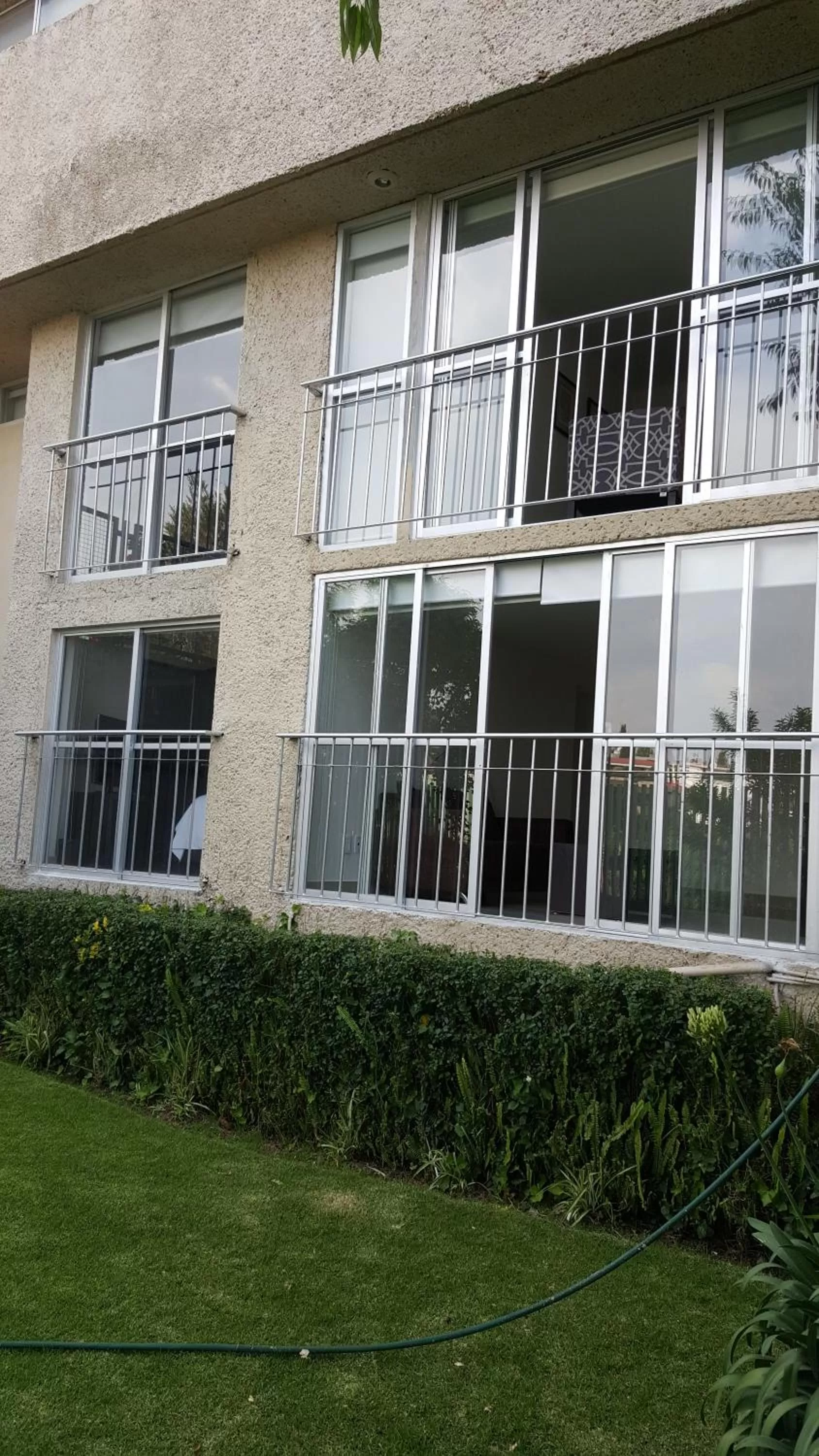 Garden in Bosque de Magnolias 93