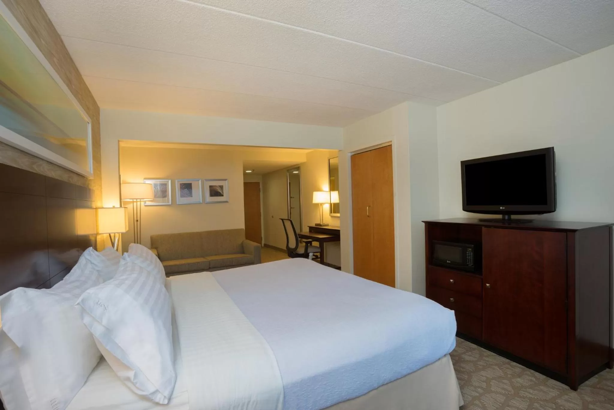 Deluxe King Room with Roll in Shower in Holiday Inn Baltimore BWI Airport, an IHG Hotel
