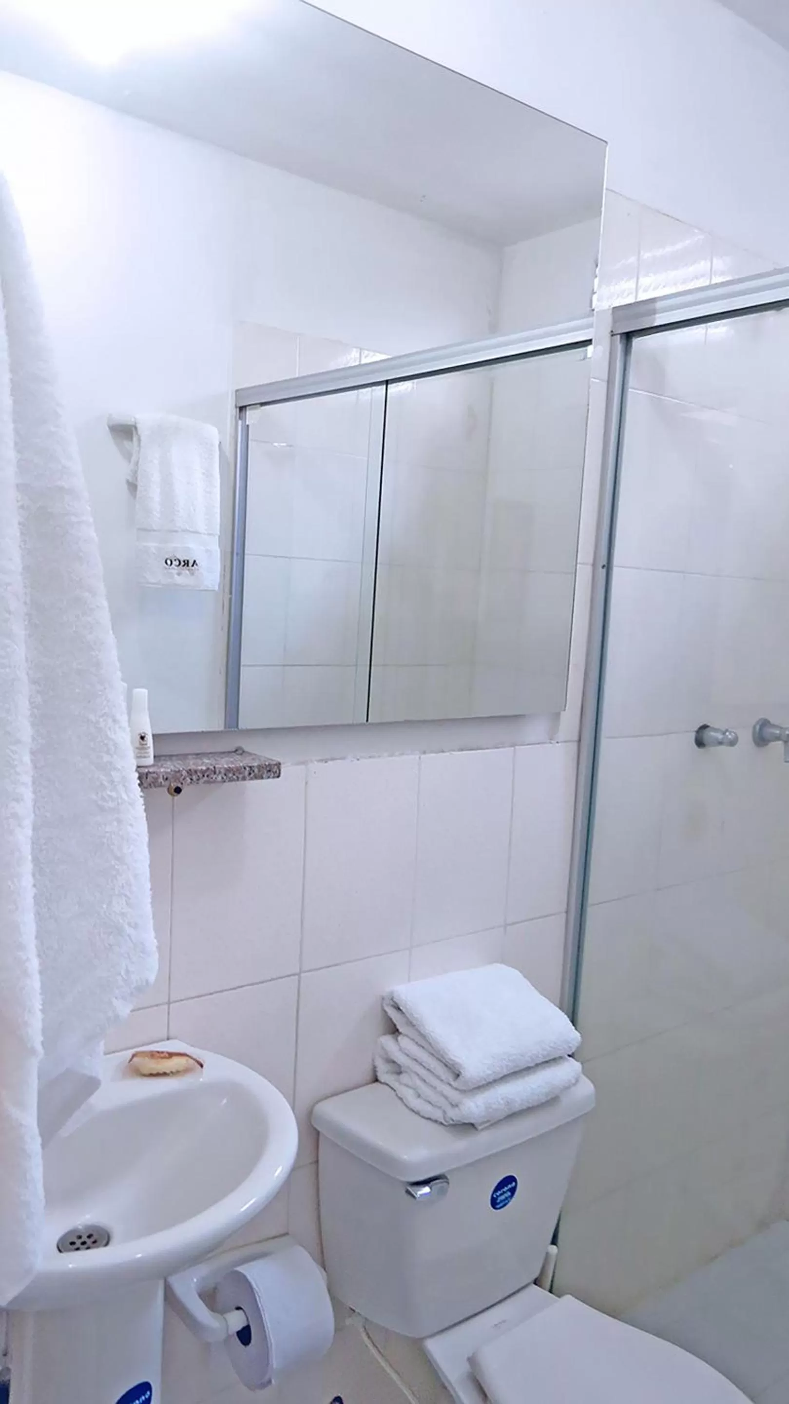 Shower, Bathroom in Arco Apartasuites