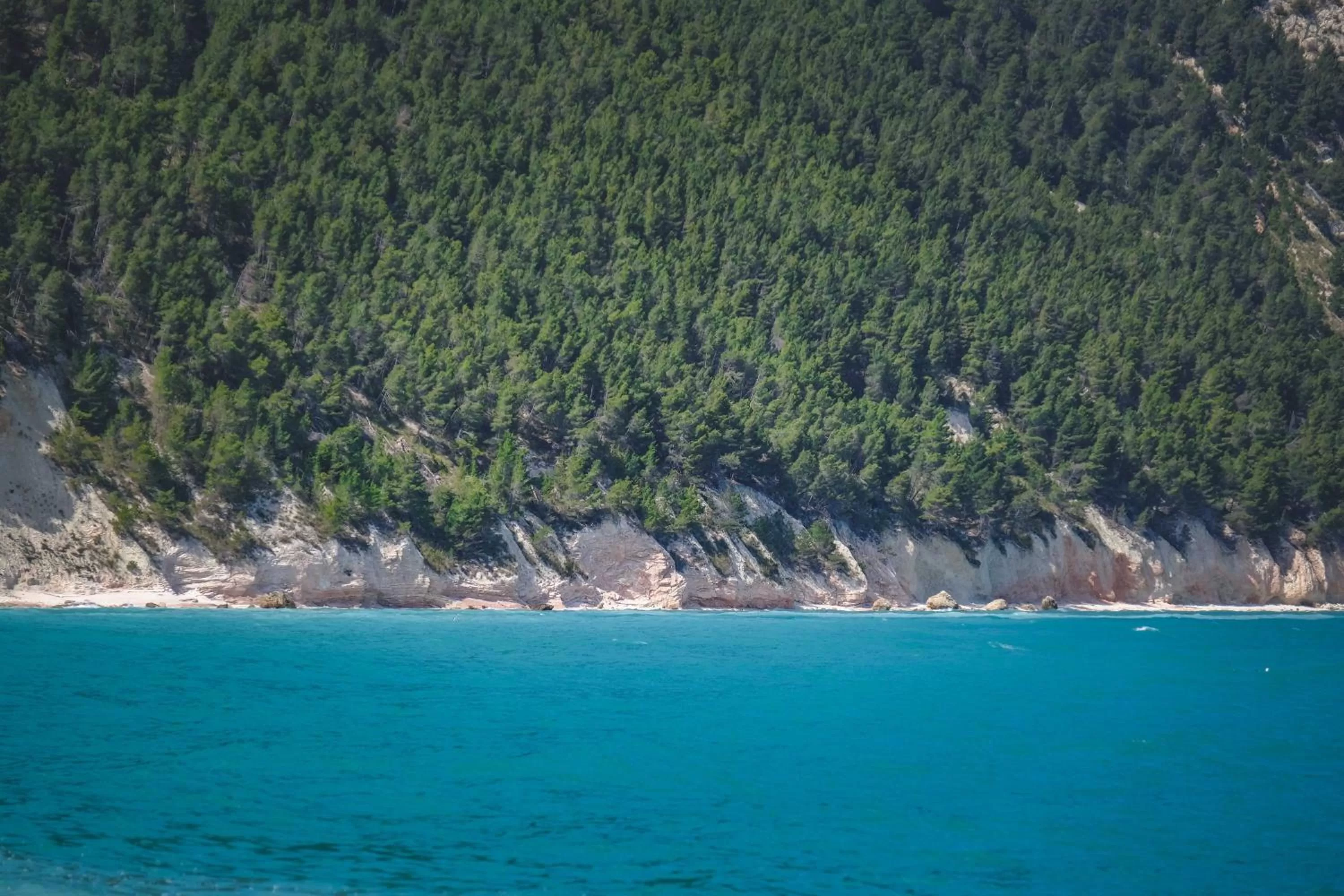 Natural landscape in Riviera Suites