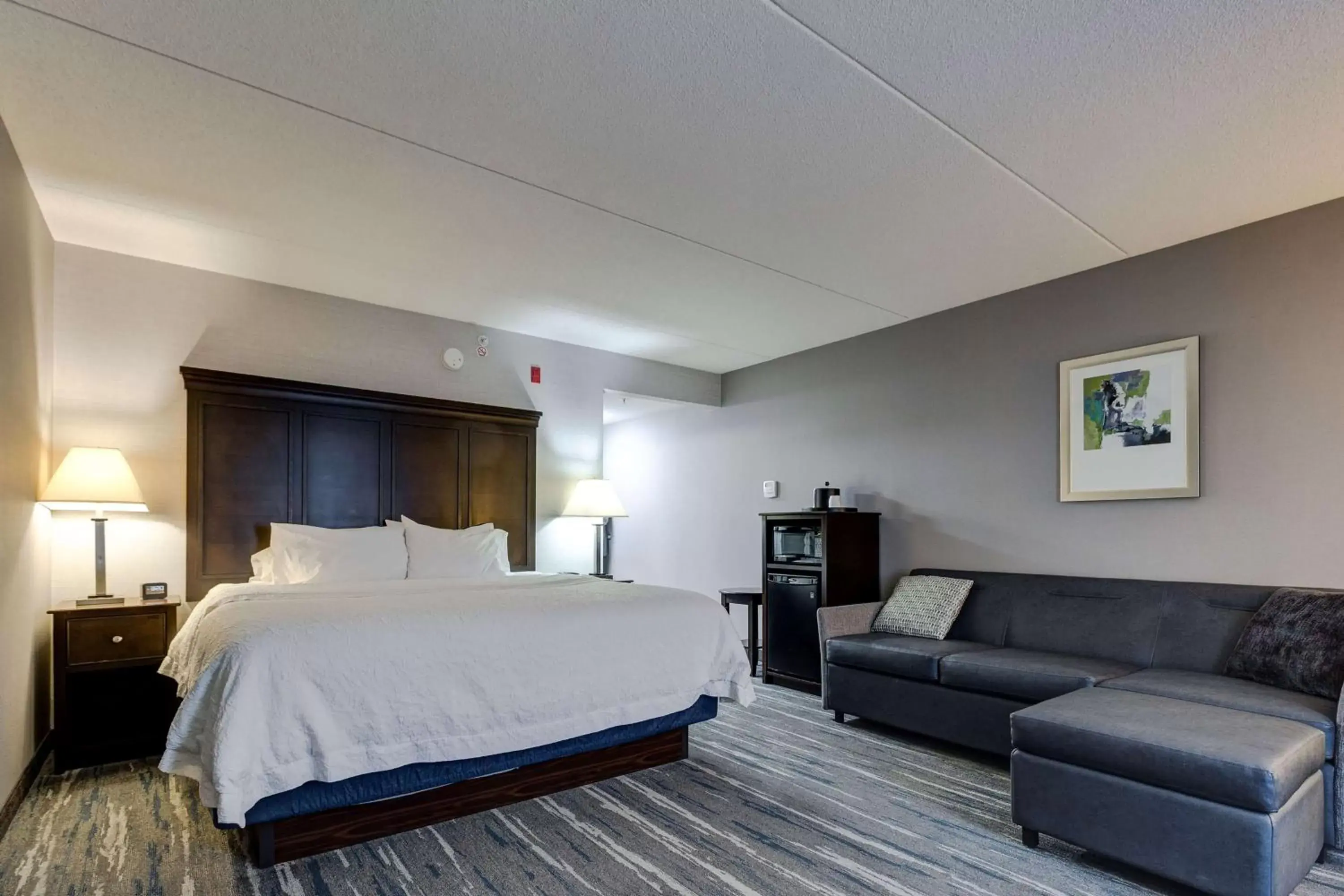 King Study with Sofa Bed - Non-Smoking in Hampton Inn & Suites by Hilton Brantford King Study with Sofa Bed - Non-Smoking in Hampton Inn & Suites by Hilton Brantford
