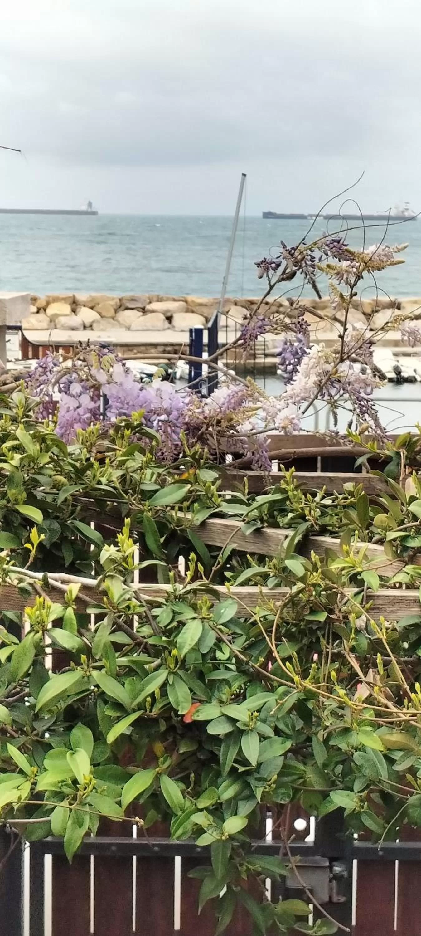 Natural landscape in Maison De Revel