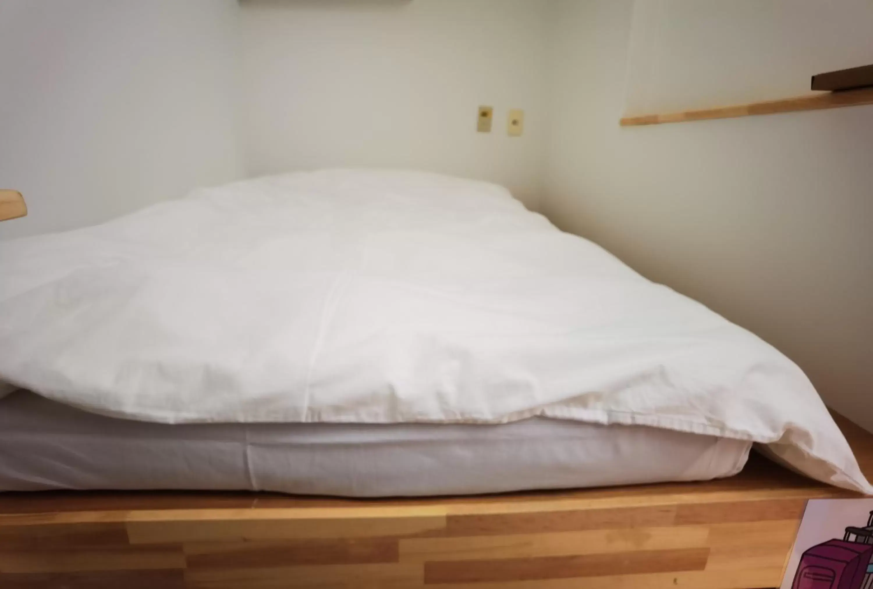 Single Room in Hostel Belle Via Tokyo Single Room in Hostel Belle Via Tokyo