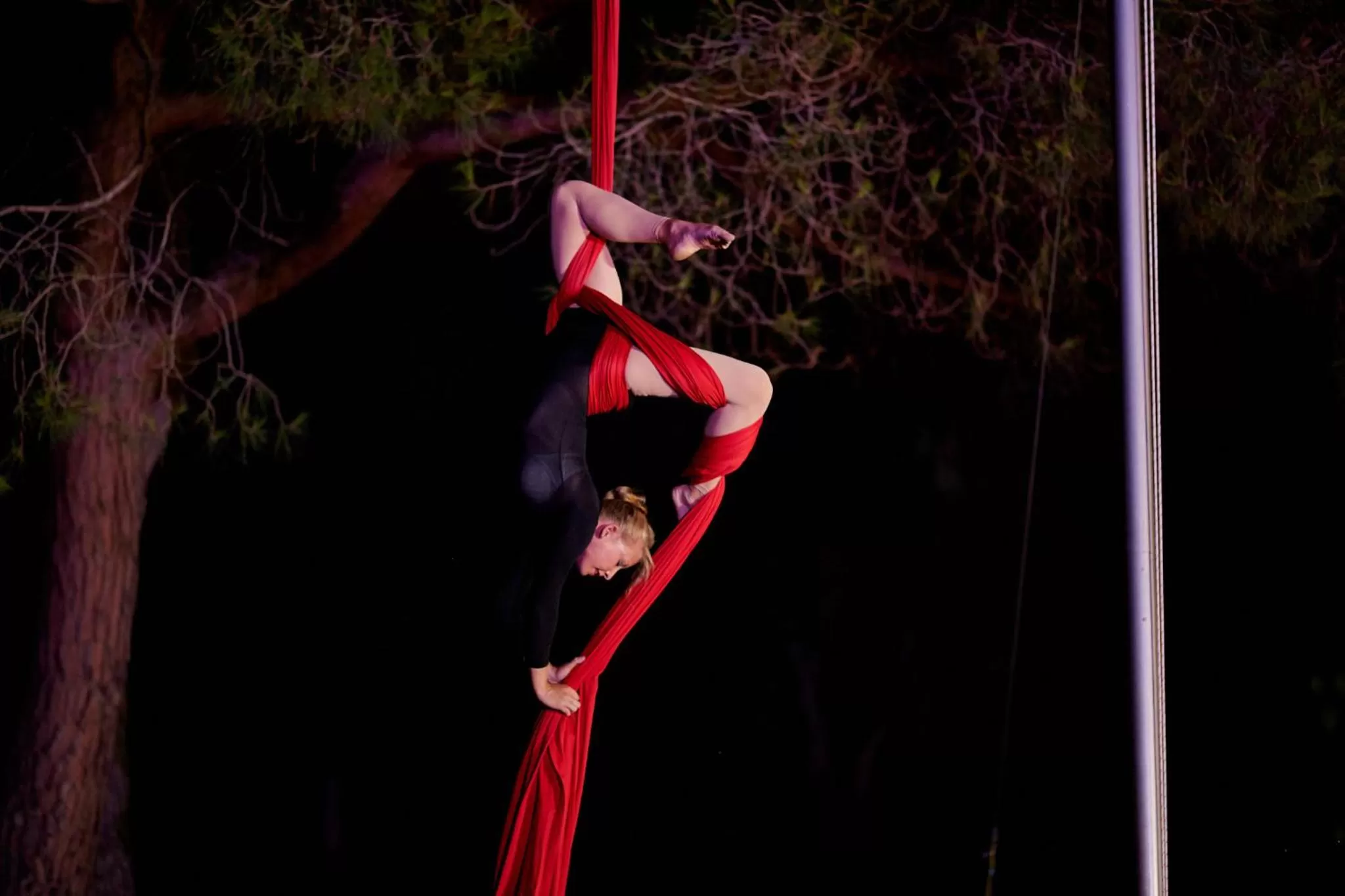 Hotel Club Le Plein Sud Vacances Bleues