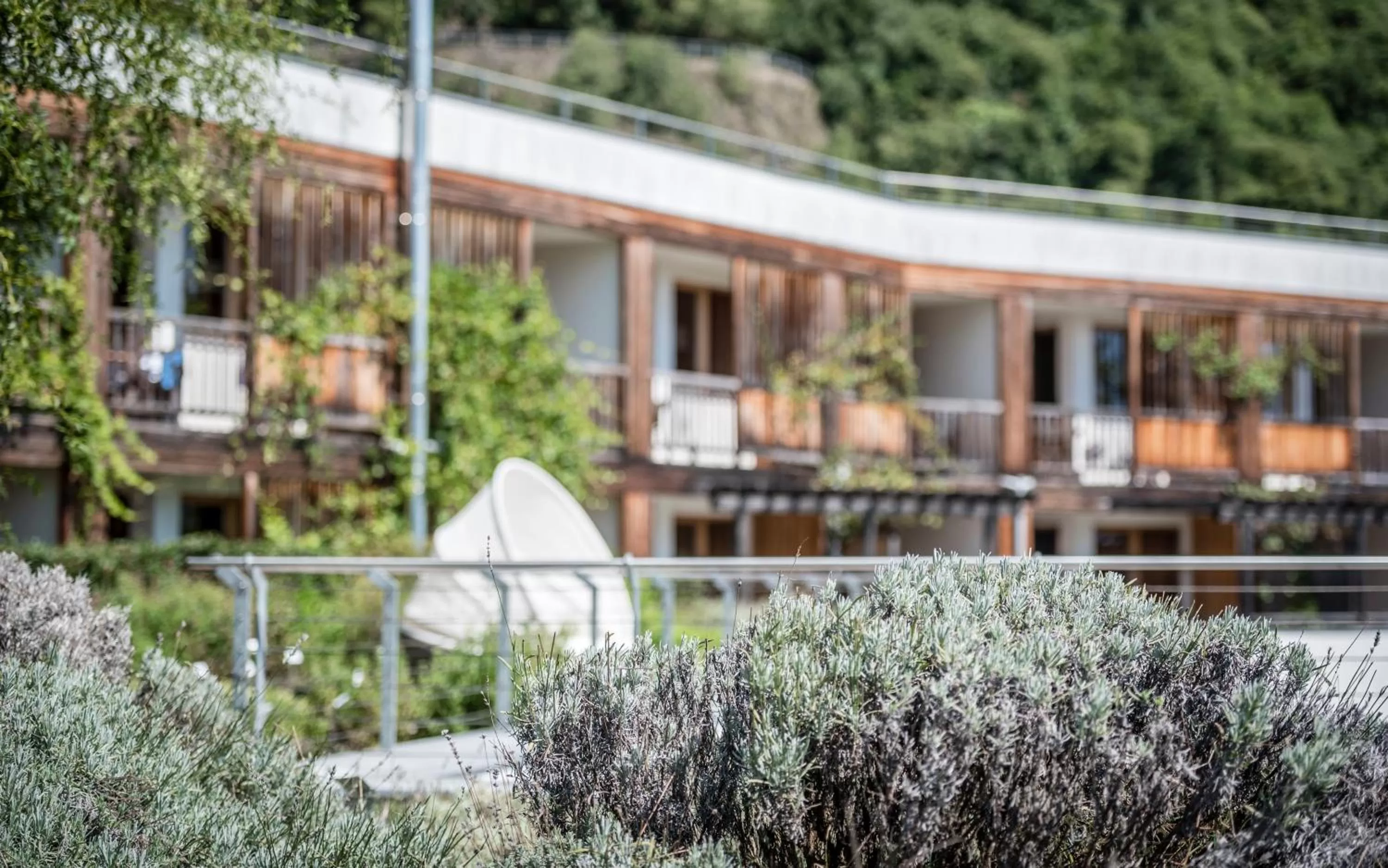 Garden in Biohotel theiner's garten