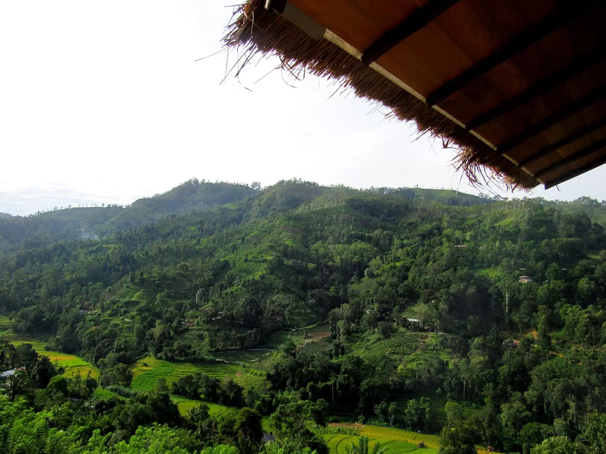 Mountain view in Ornateview Hotel