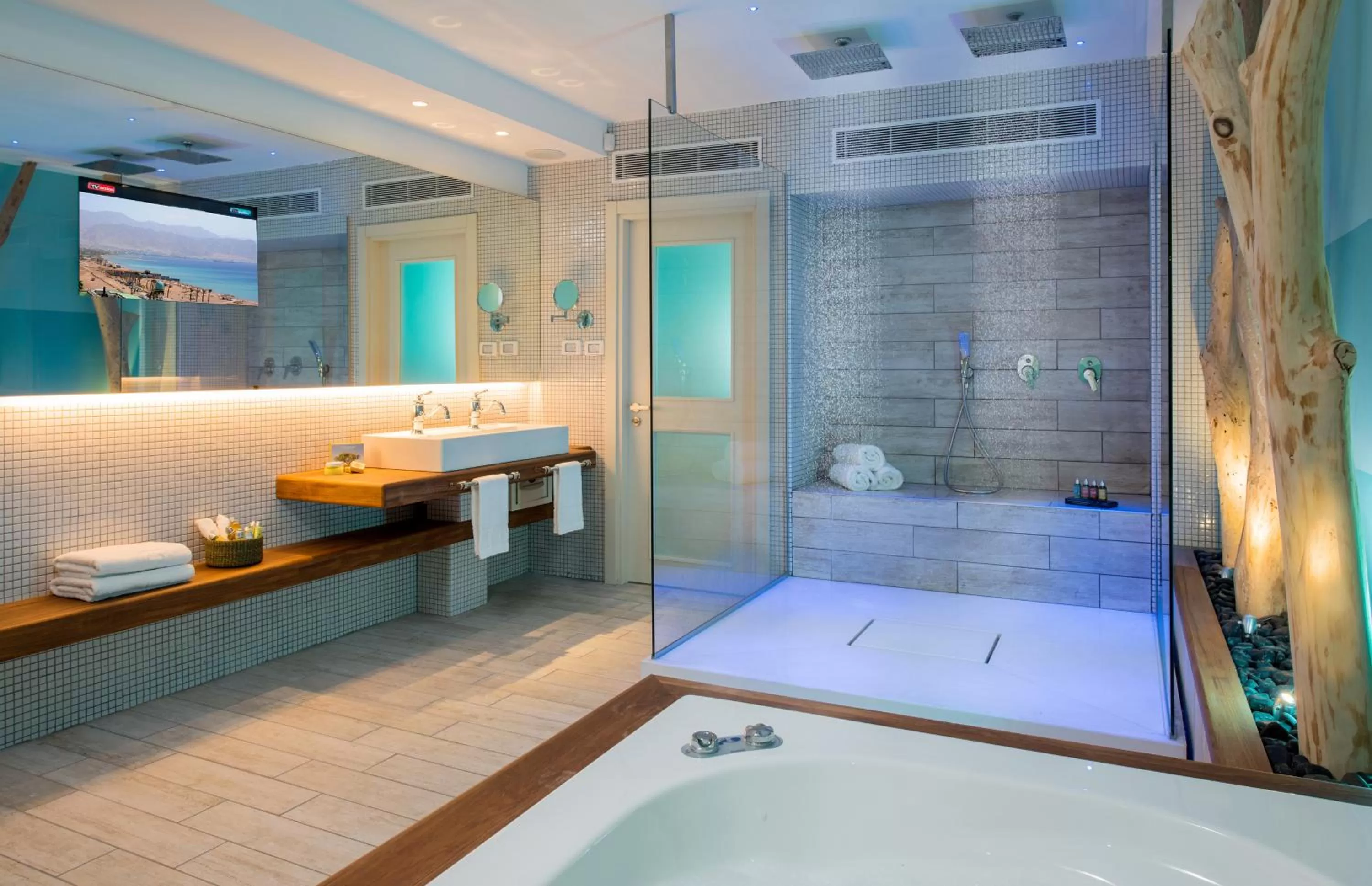 Shower, Bed in Herods Vitalis Spa Hotel Eilat a Premium collection by Fattal Hotels