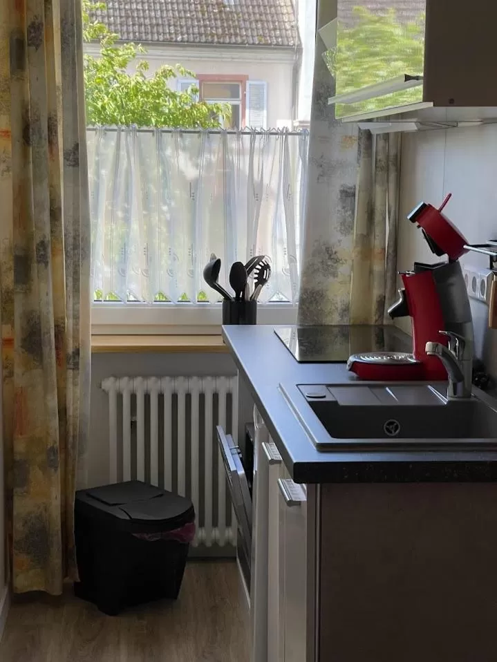 Kitchen/Kitchenette in zum Schwanen Garni