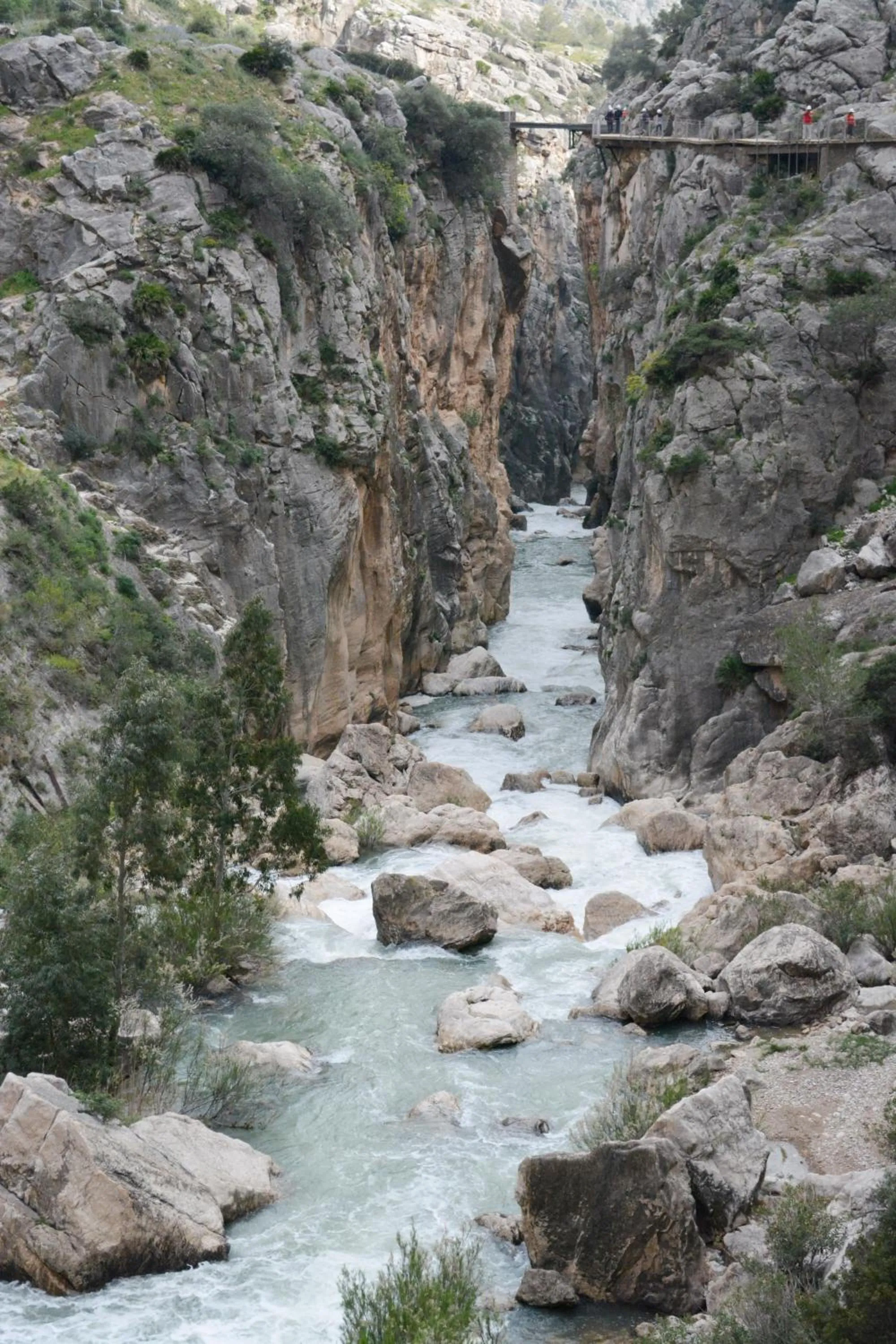 Natural landscape in Apartamentos Ardales