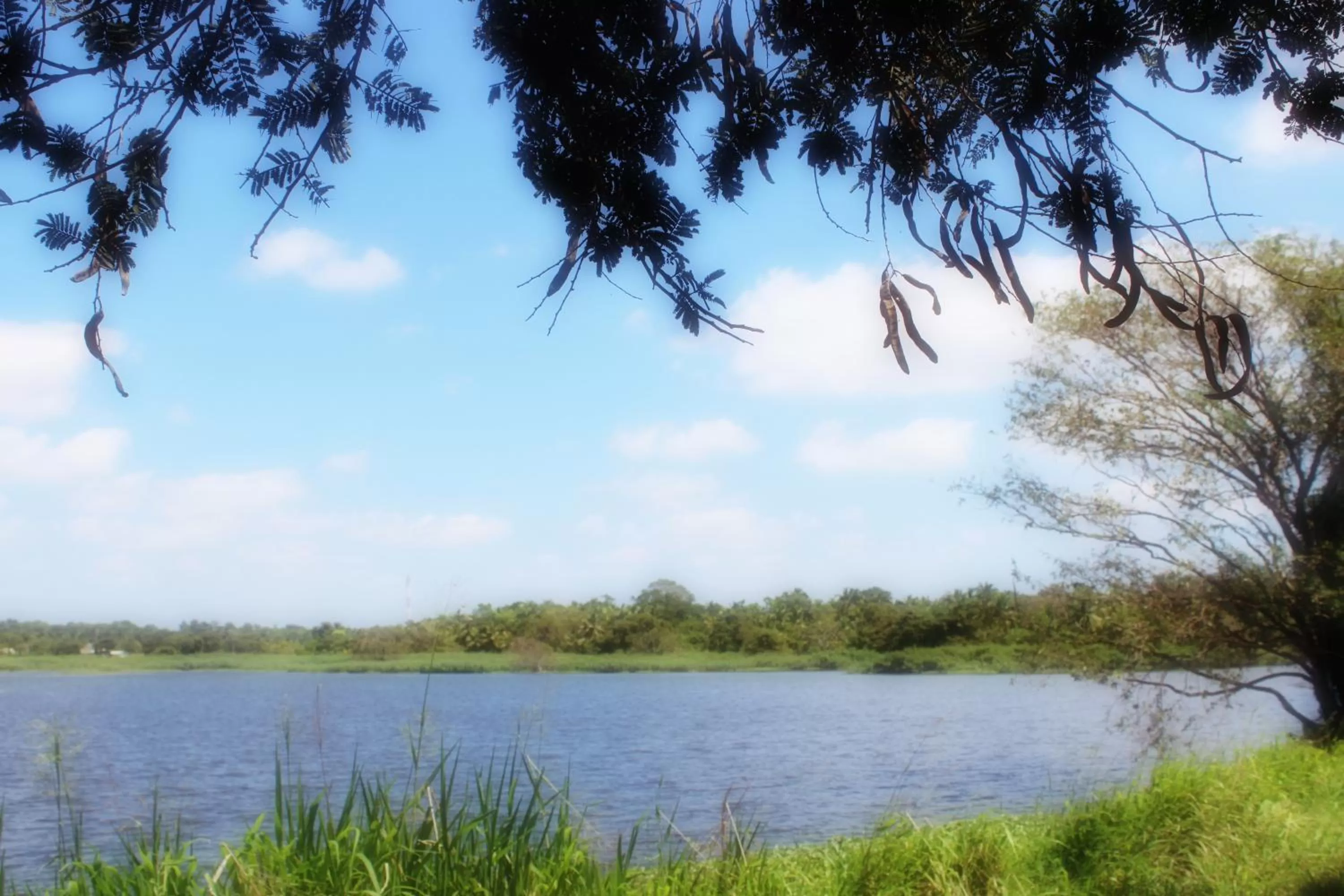 River View in Green Cottage