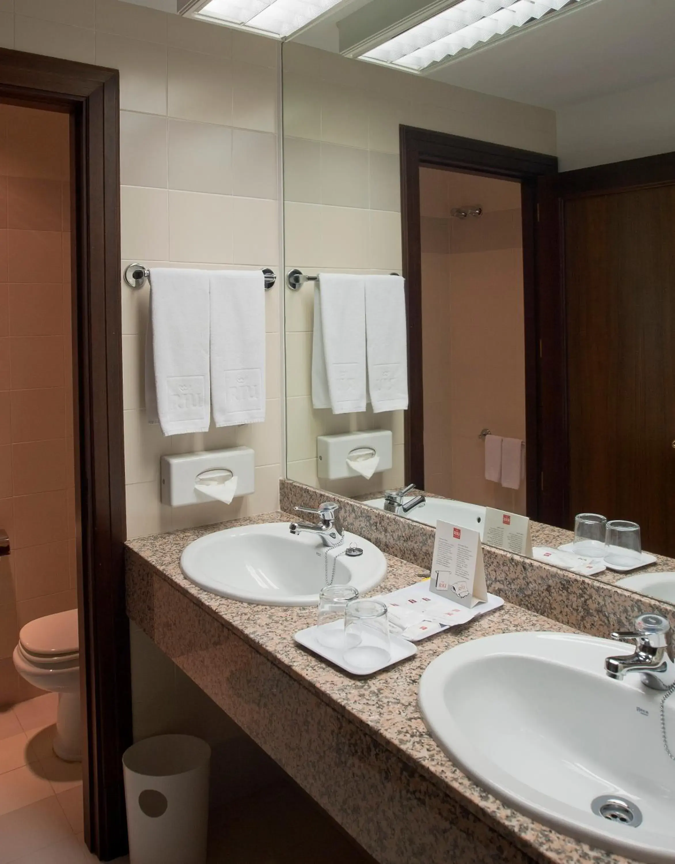 Twin Room in Hotel Riu Fluviá Twin Room in Hotel Riu Fluviá