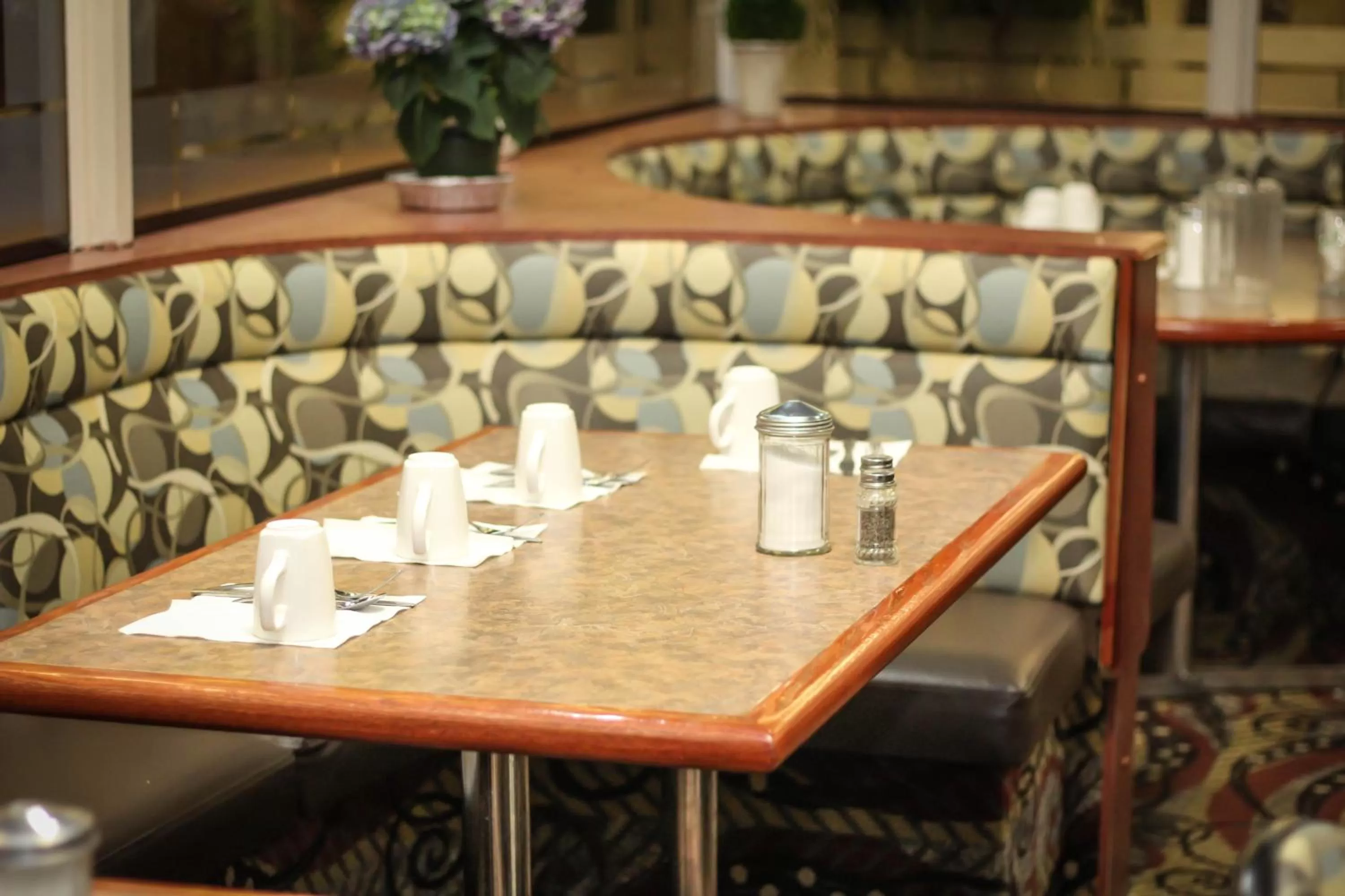 Restaurant/places to eat in Continental Inn & Suites