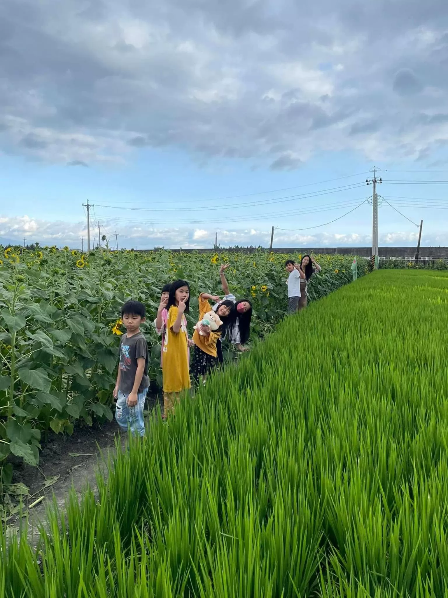 Spring in Dou Dou Long Homestay