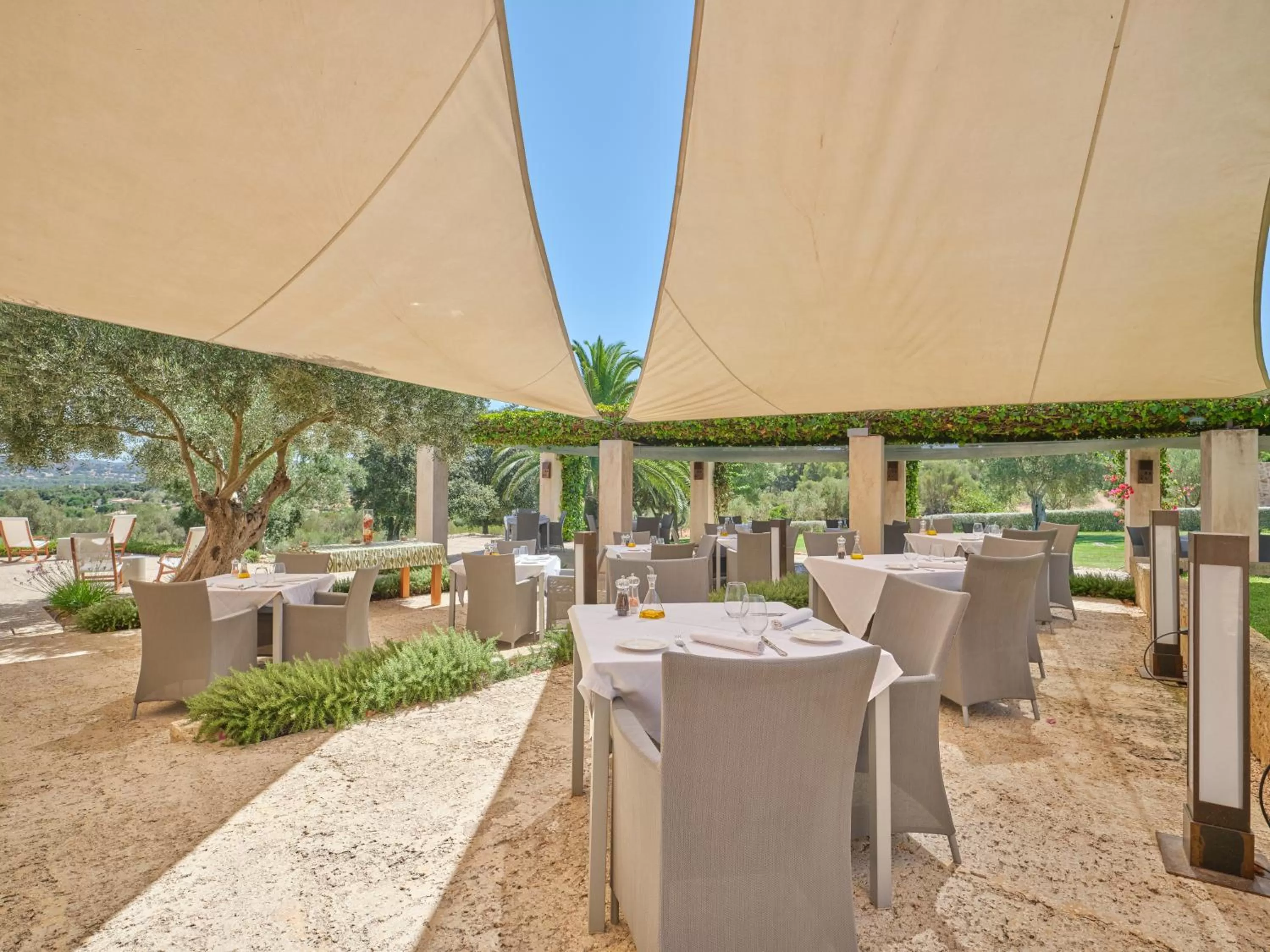 Restaurant/places to eat in Son Penya Adults Only Petit Hotel & Spa