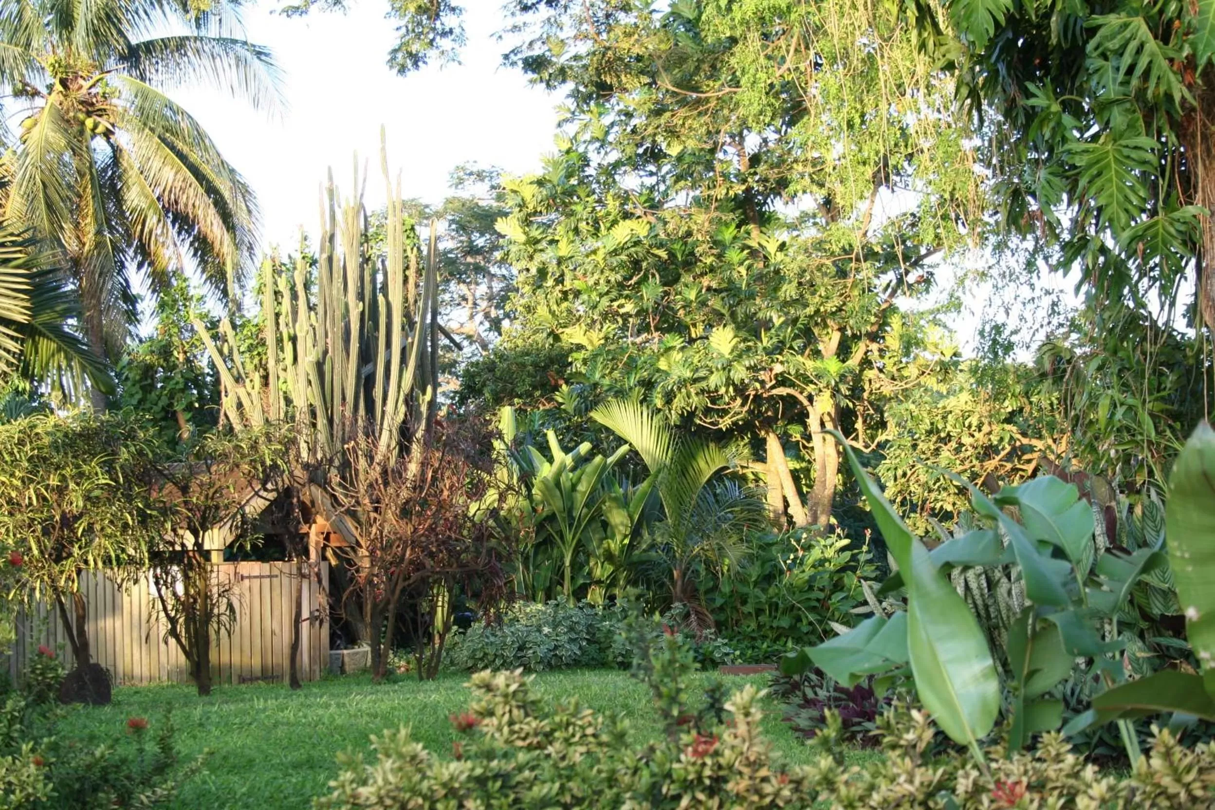 Garden in Habitation du Comté