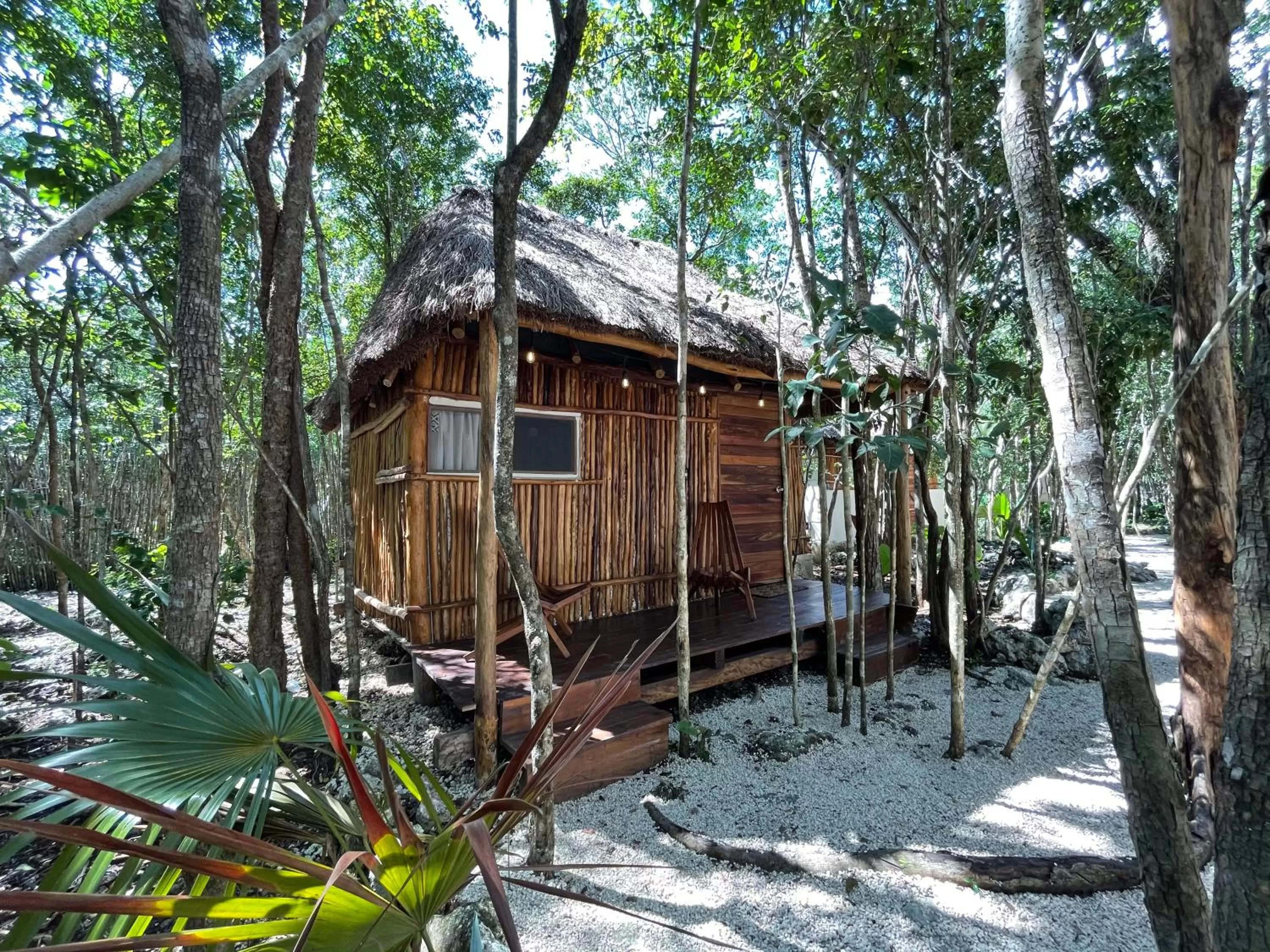 Property Building in Bayou