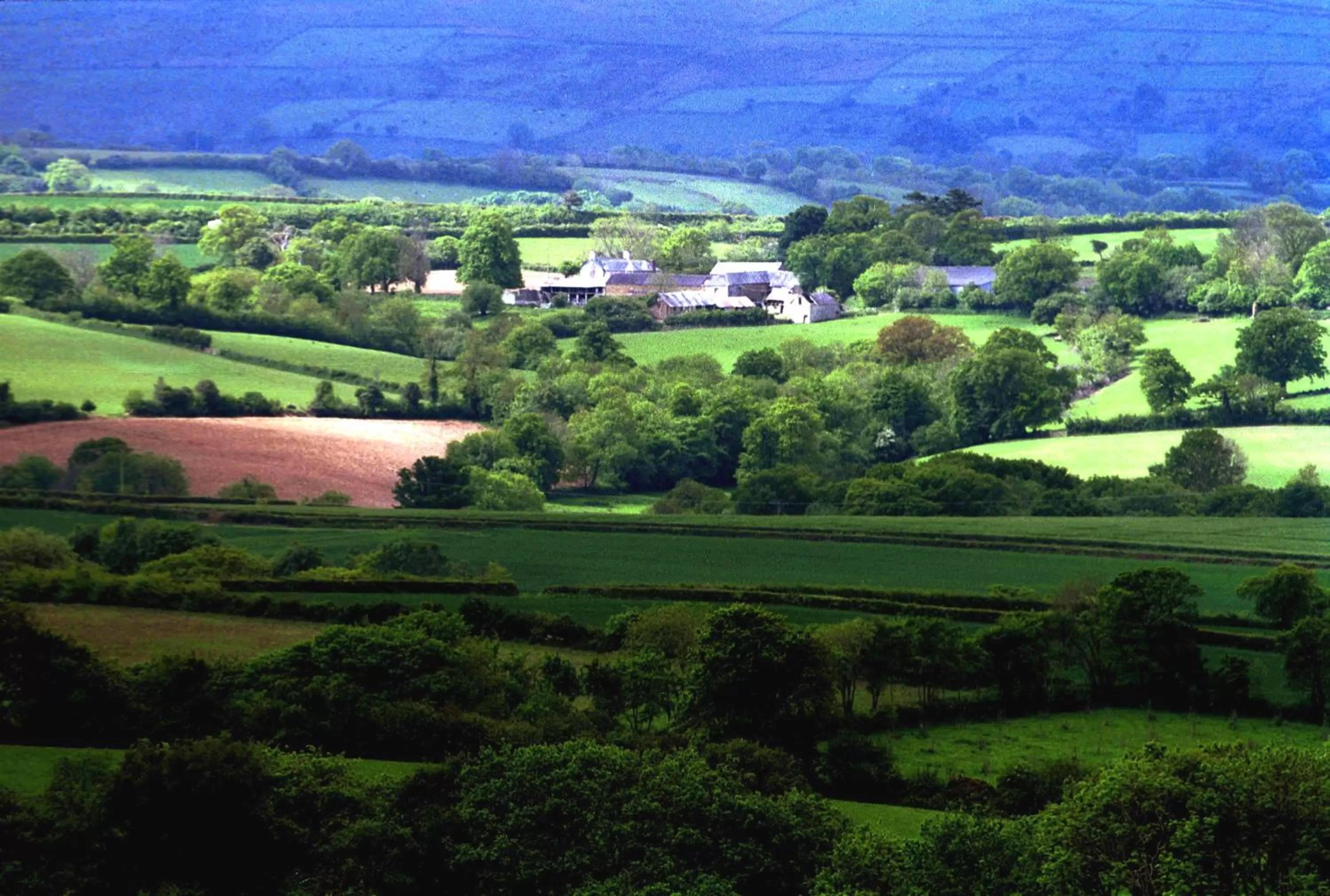 Bird's eye view in Lovaton Farmhouse