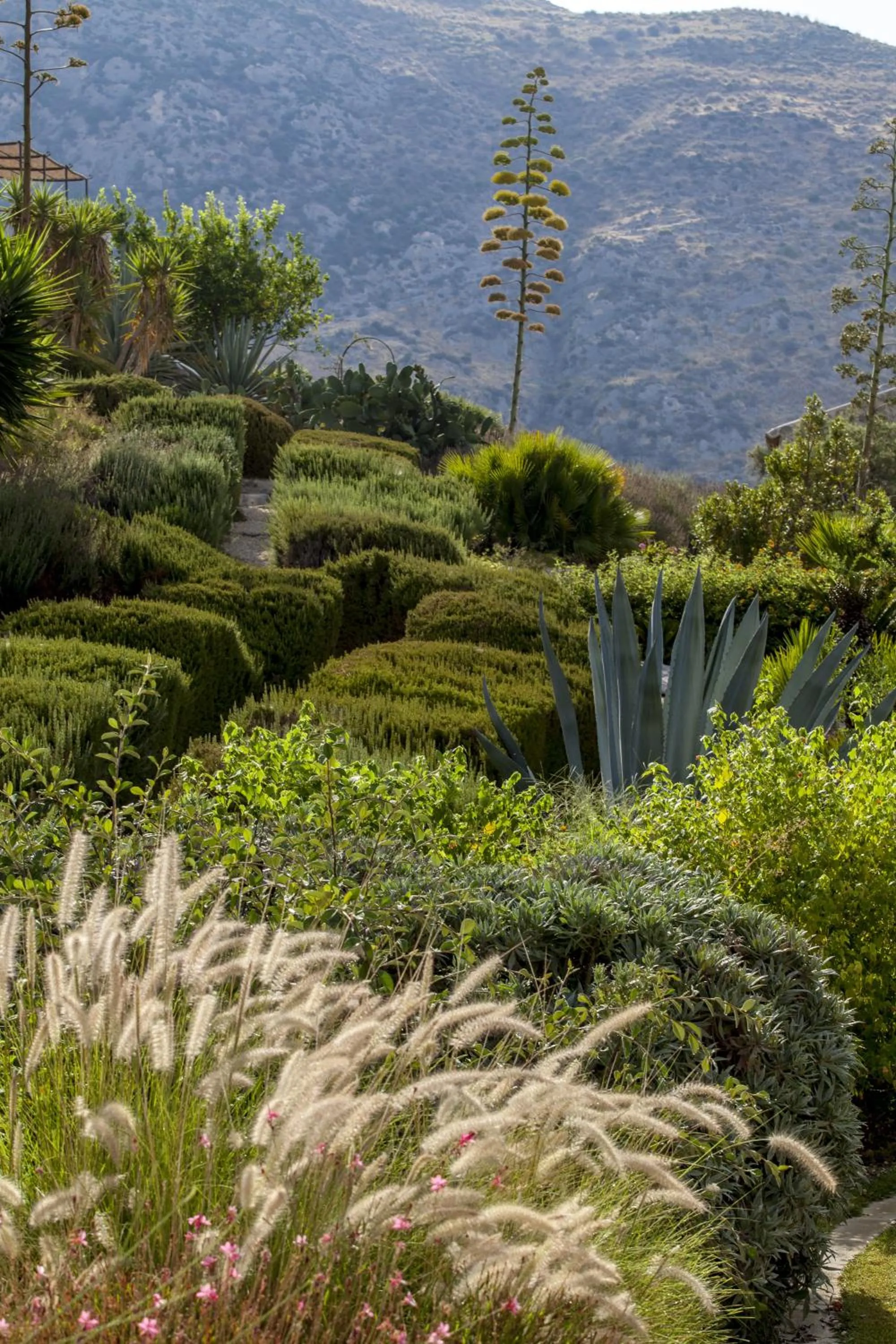 Natural landscape in Masseria Agnello