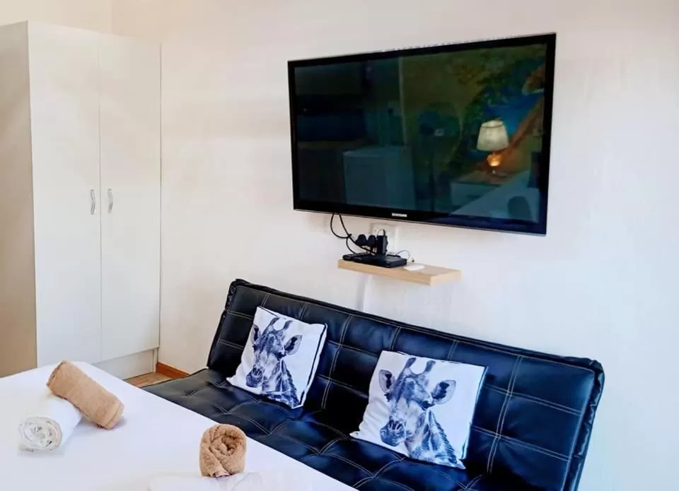 TV and multimedia, TV/Entertainment Center in Queensburgh B&B or Self Catering