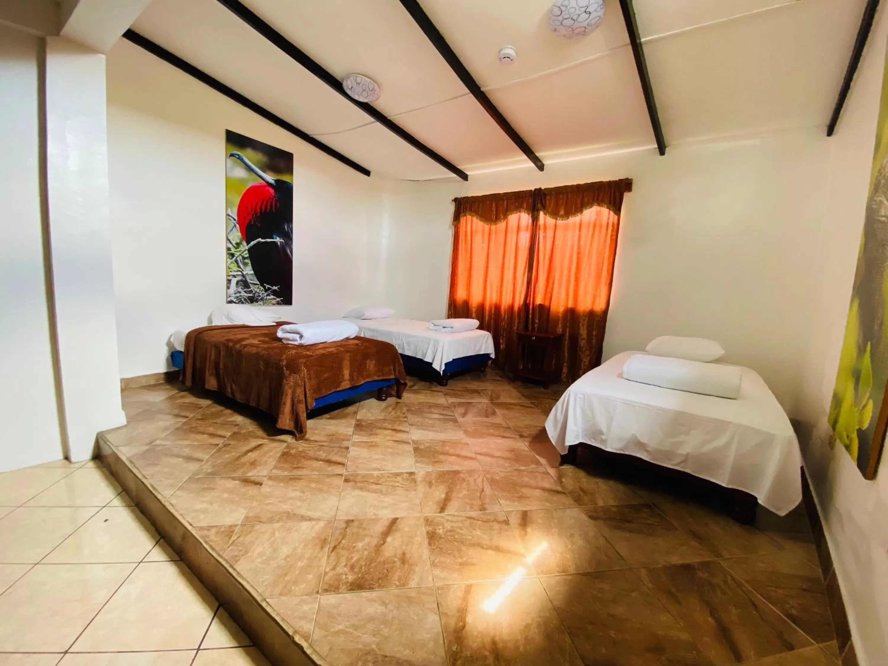 Photo of the whole room, Bed in Hotel Crossman