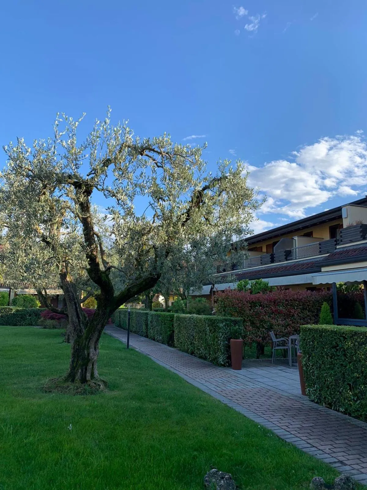 Ulivi Hotel & Residence