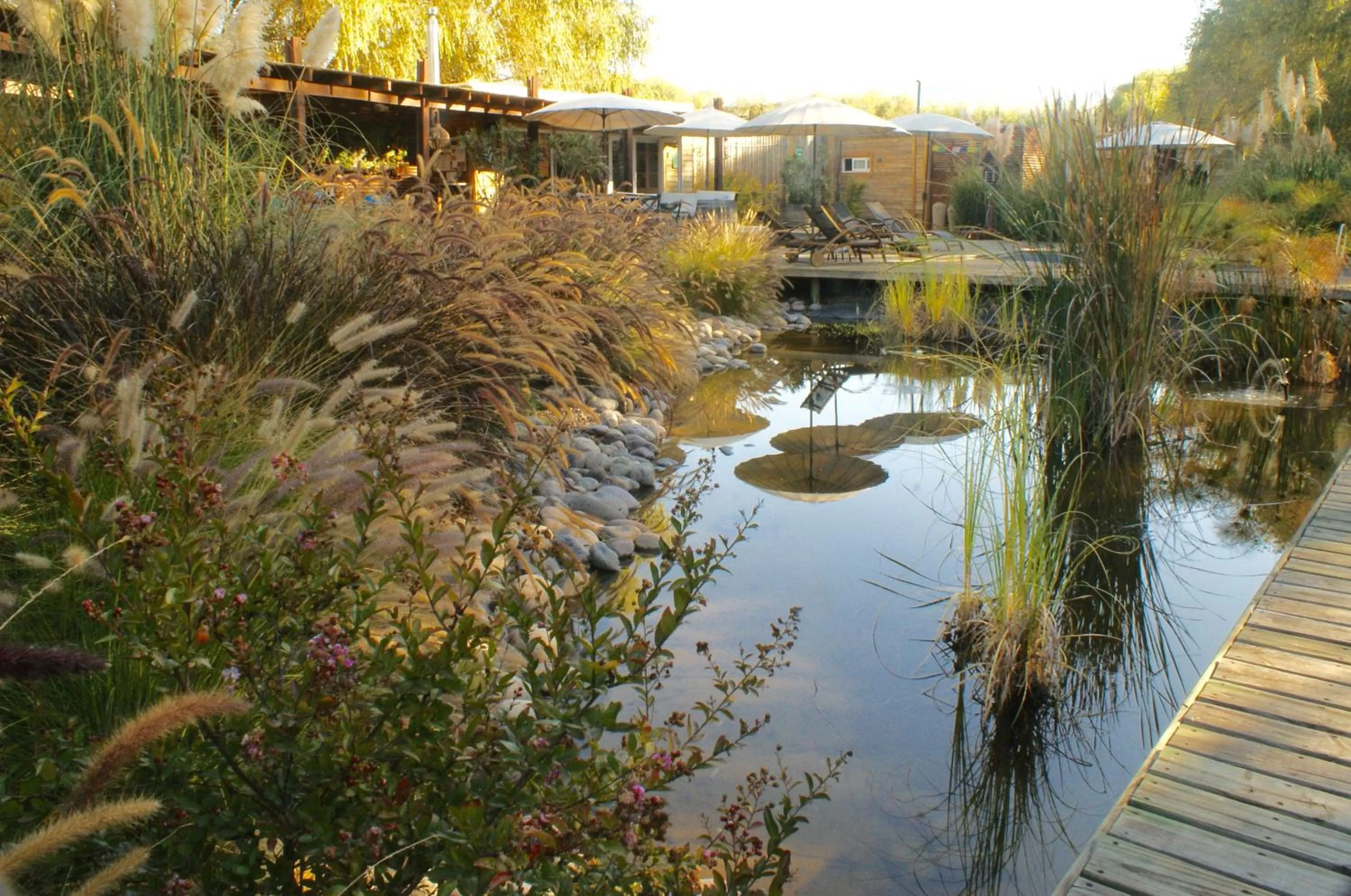 Garden in Barrica Lodge