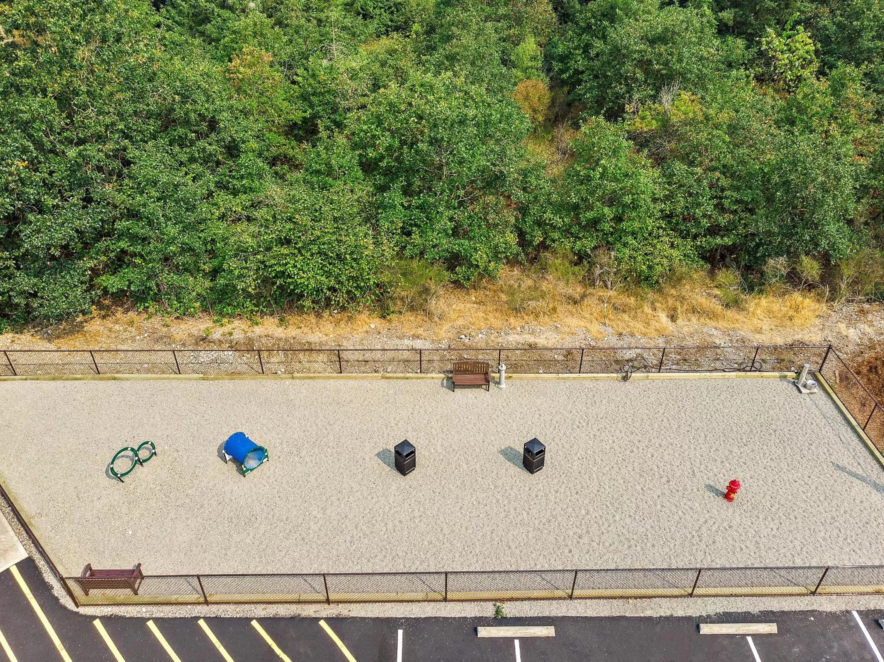 Animals in Lucky Eagle Casino & Hotel (Washington)