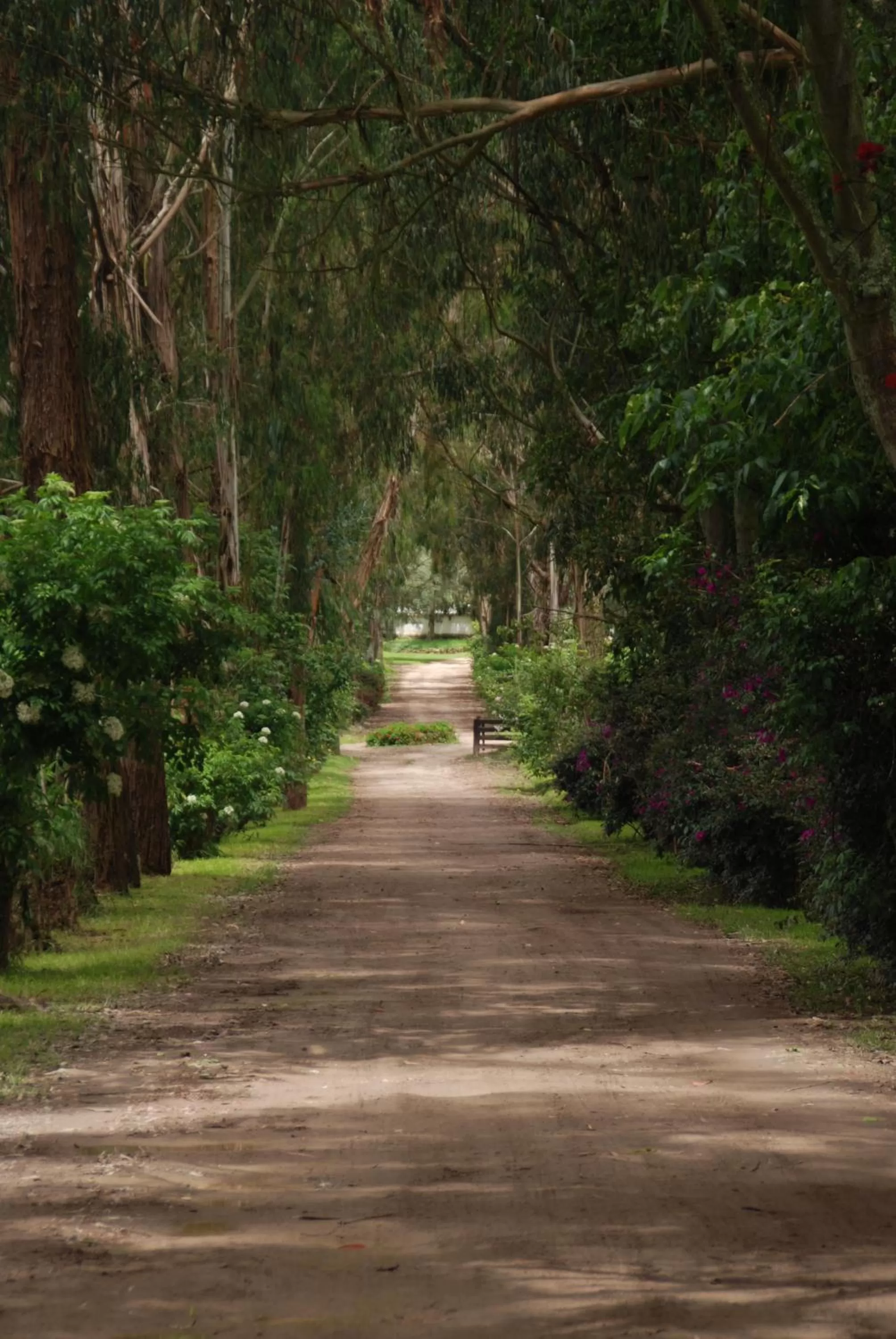 Hiking in Hotel Hacienda Suescún