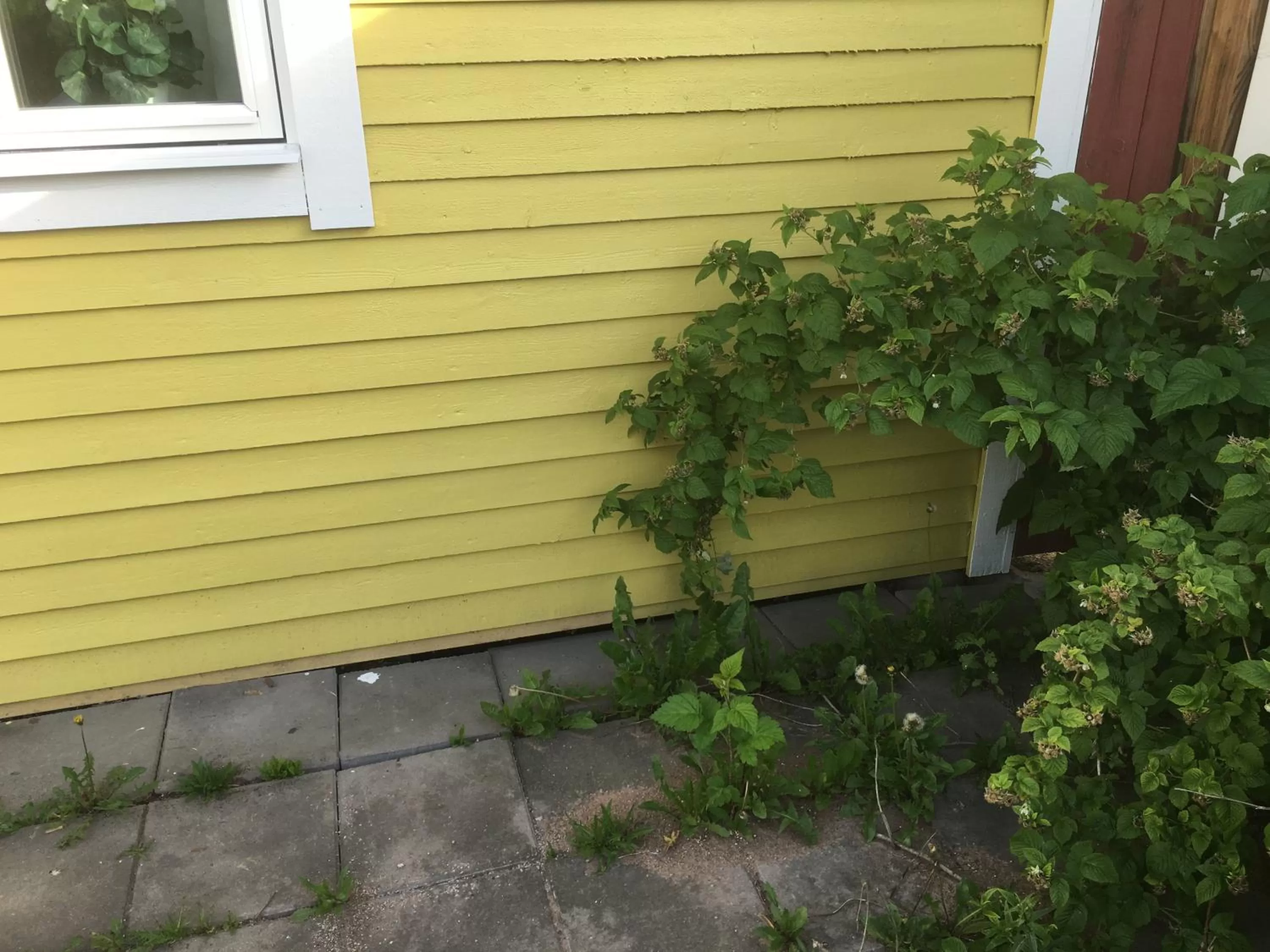 Other, Patio/Outdoor Area in Augustas Bed & Breakfast