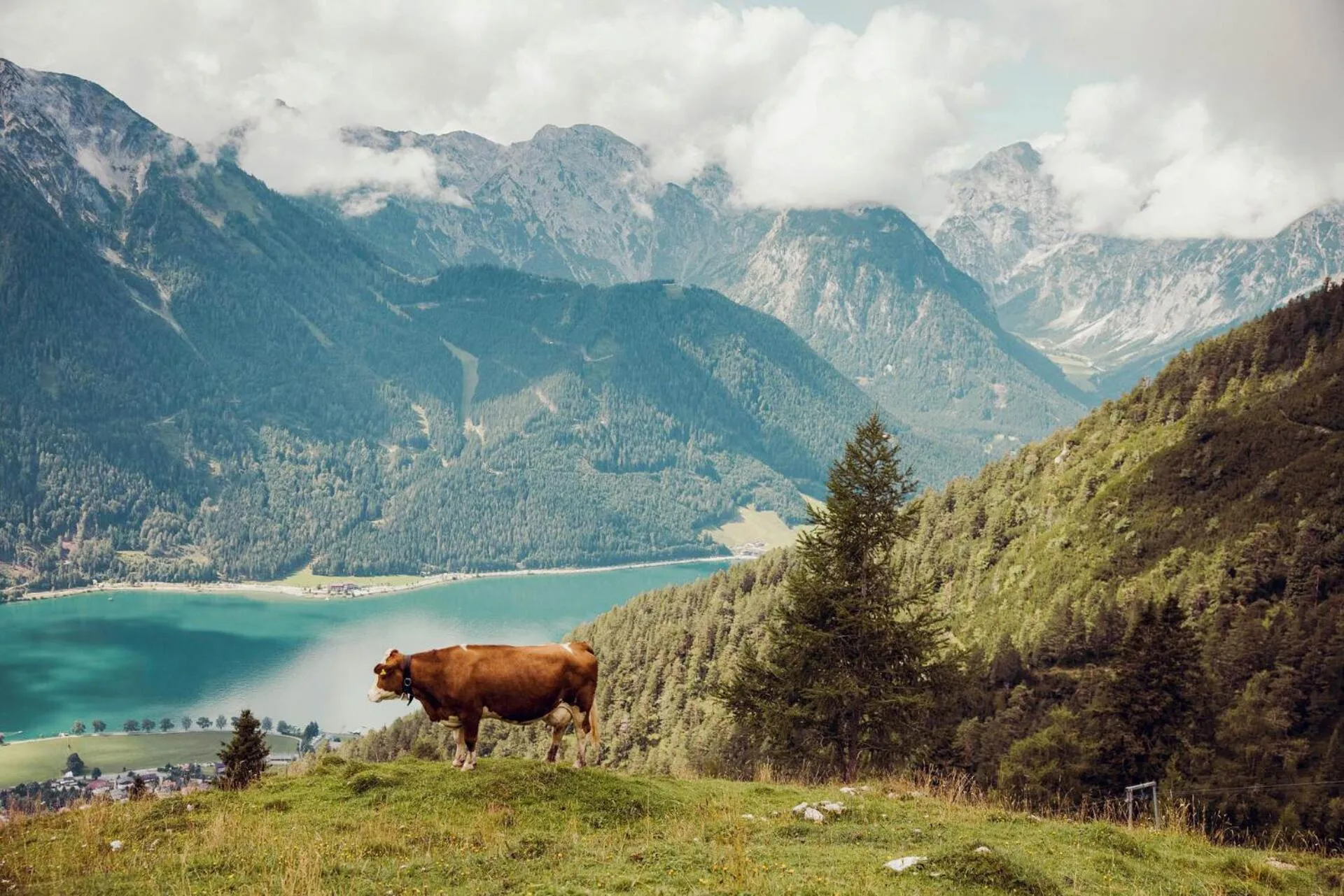 Summer in Hotel St. Georg zum See