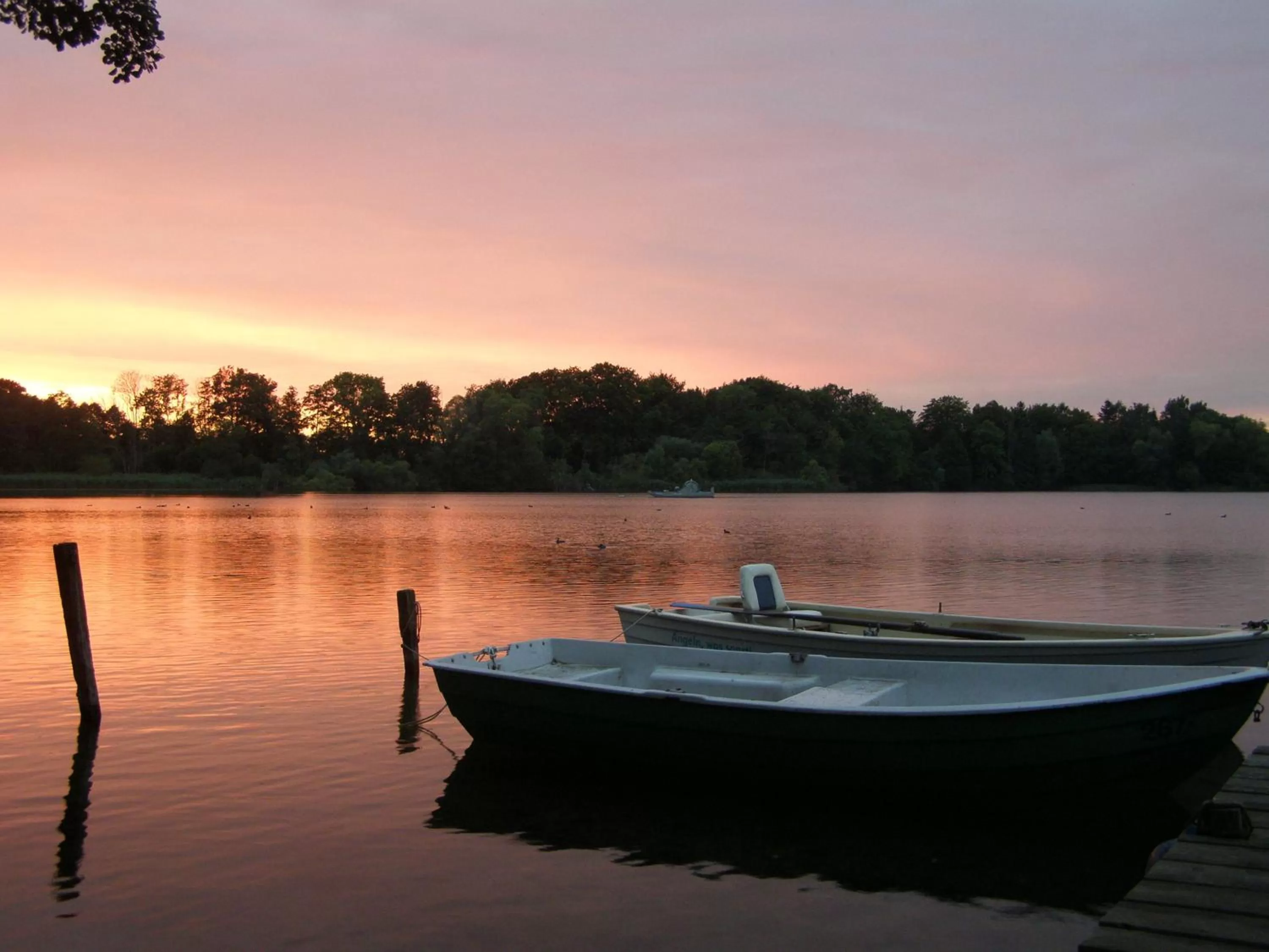 Lake view in Hotel Fährhaus Niederkleveez