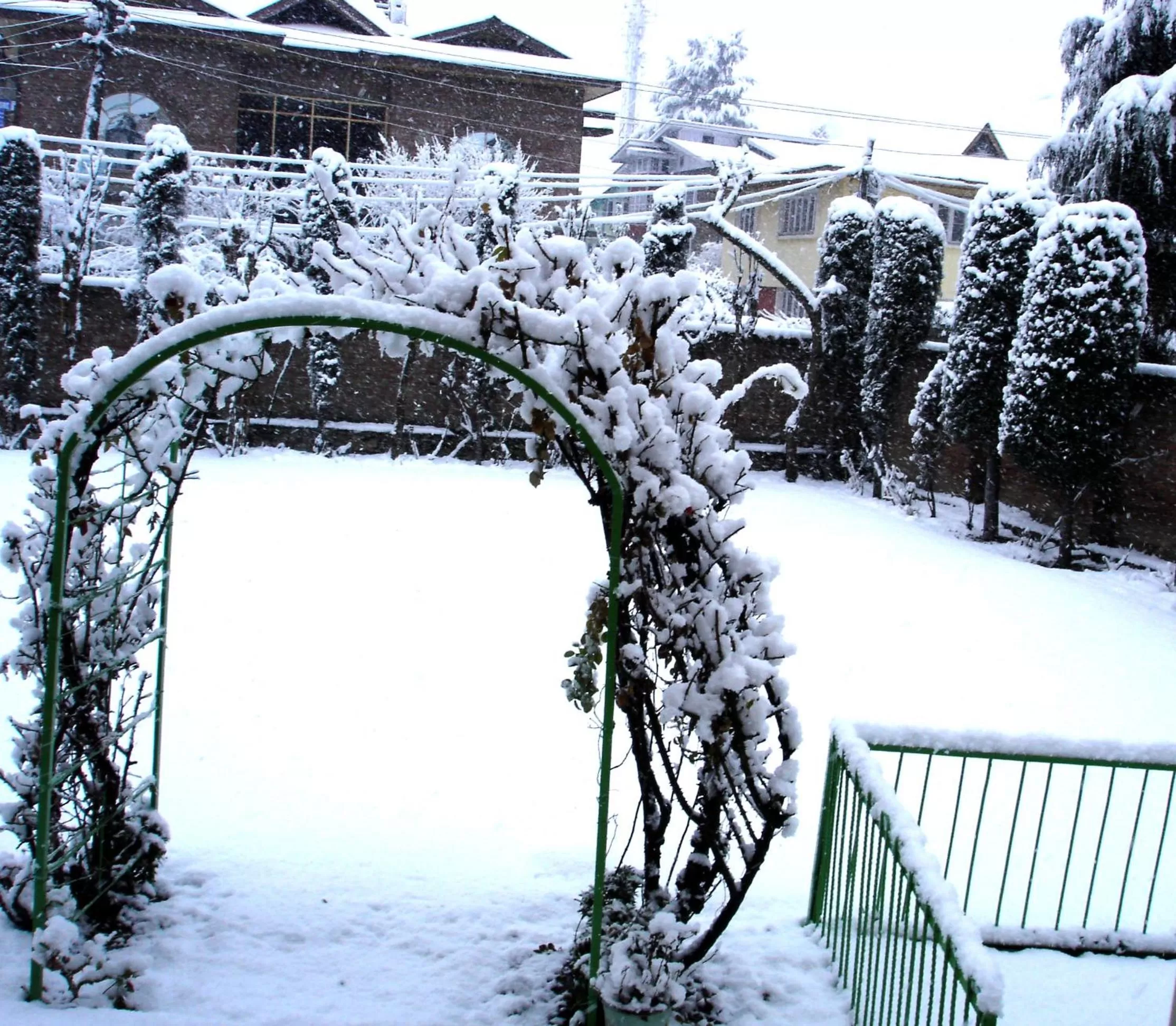 Garden in Ikraam Inn Bed & Breakfast