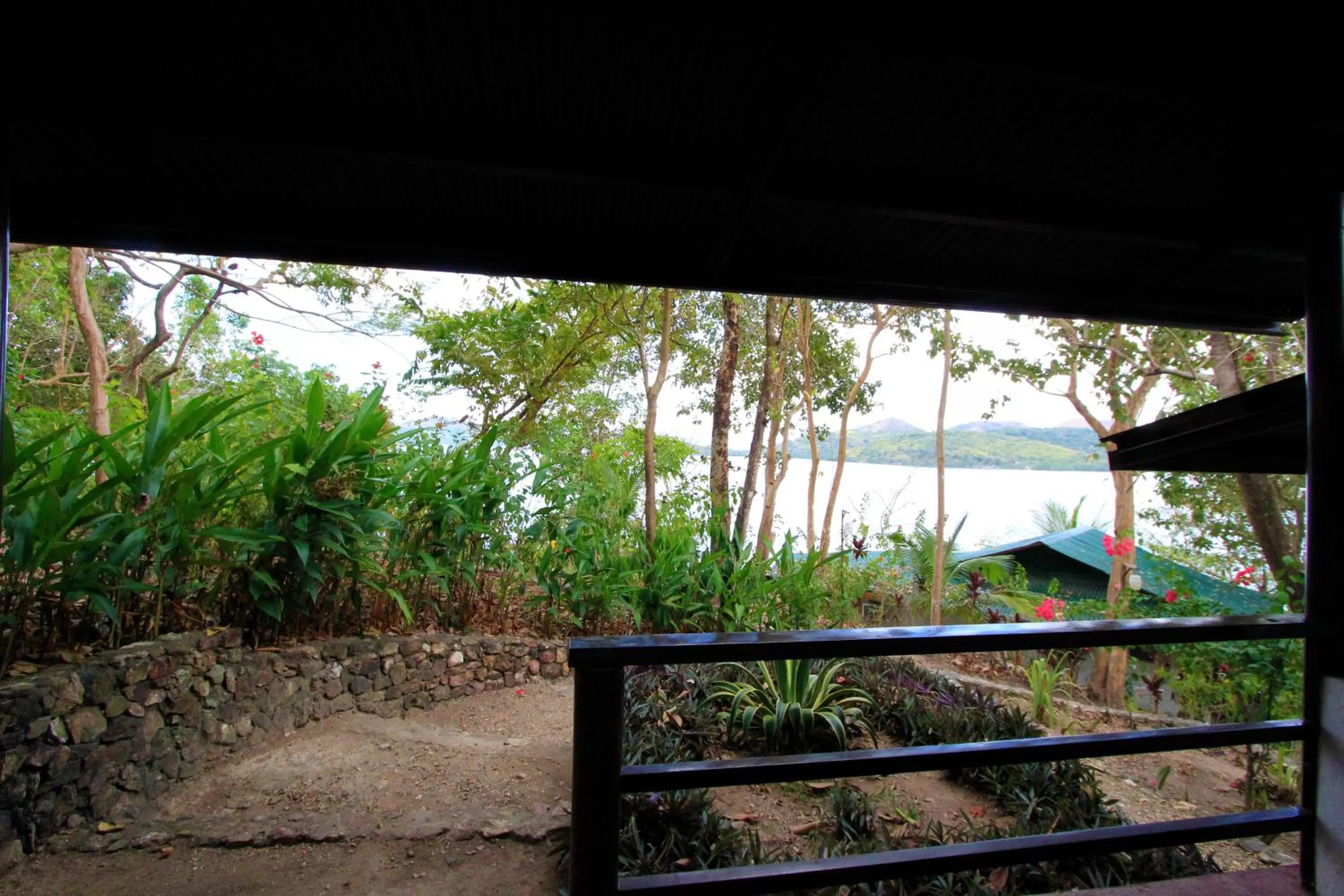 Balcony/Terrace in Discovery Island Resort