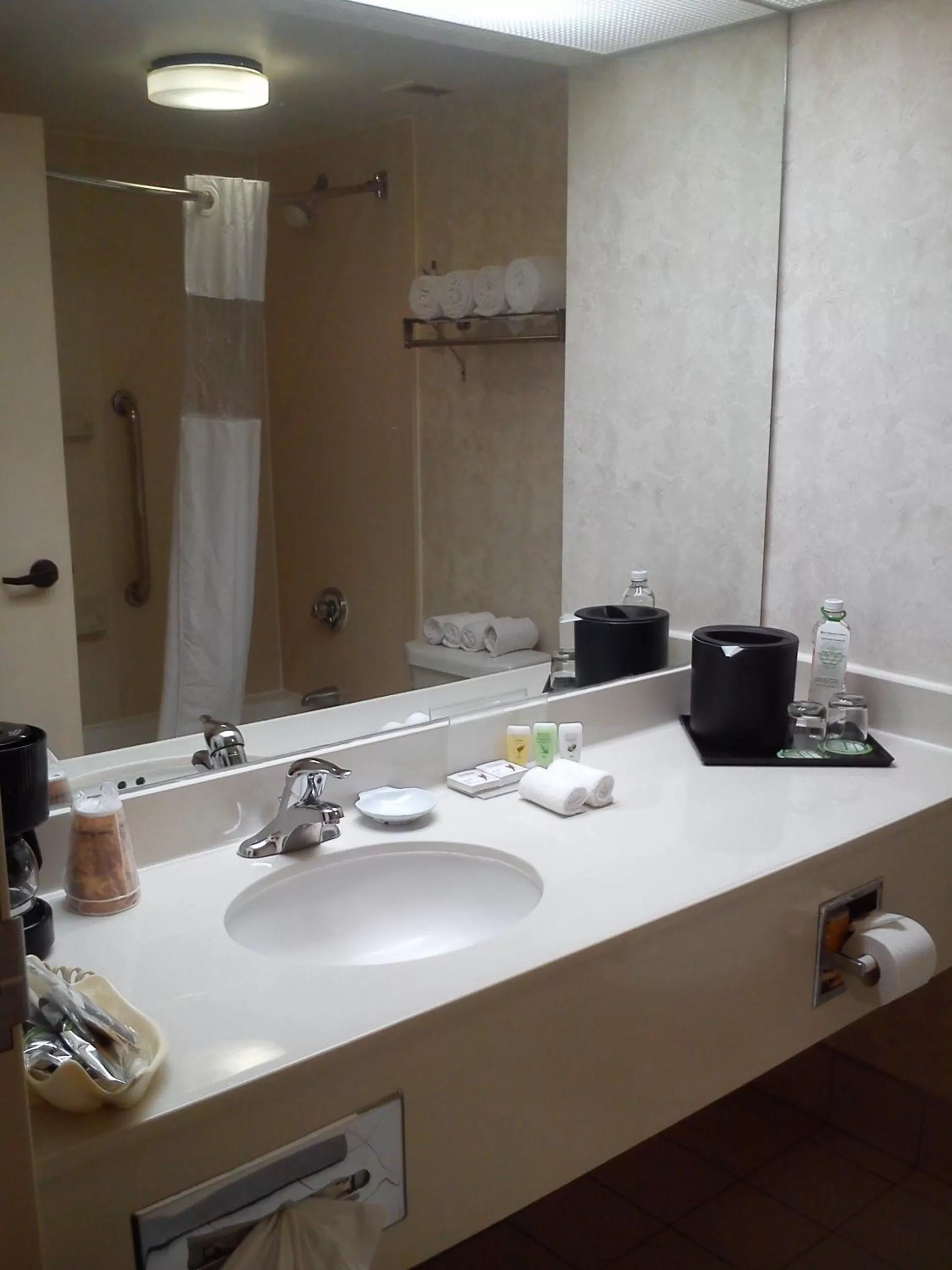 Bathroom in Wyndham Garden Monterrey Norte