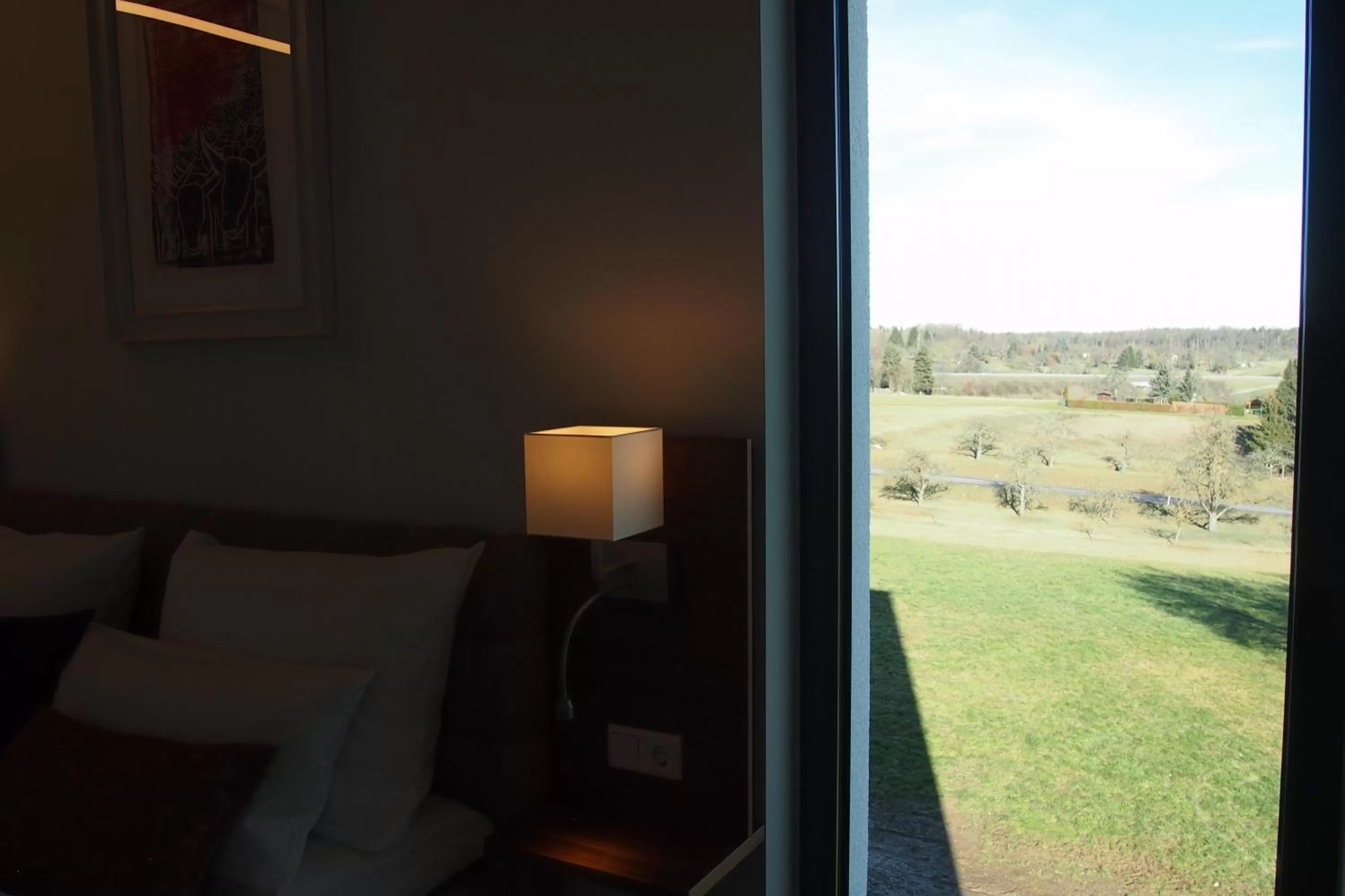 Garden view in Hotel 2050