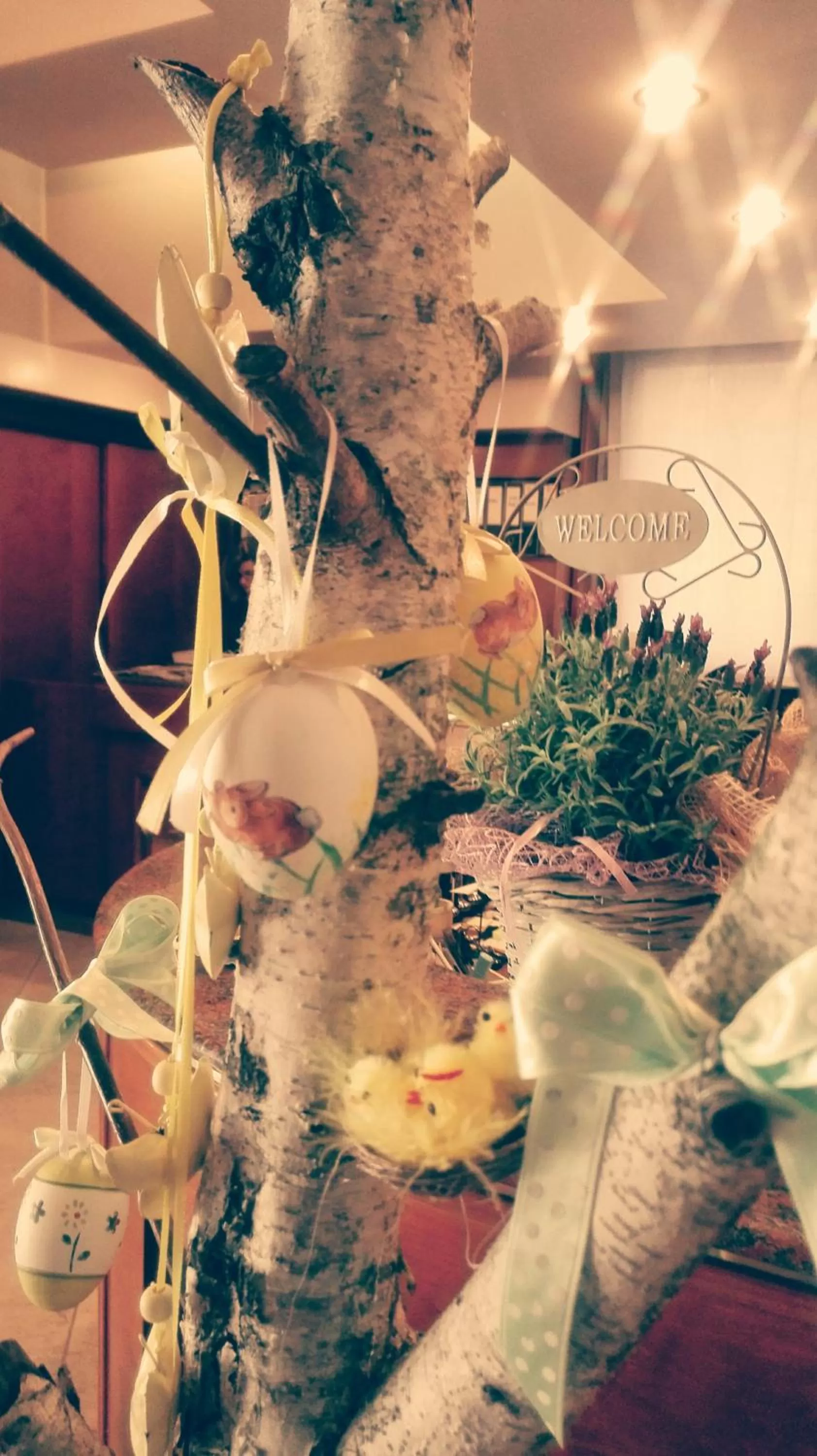 Lobby or reception in Hotel Igea