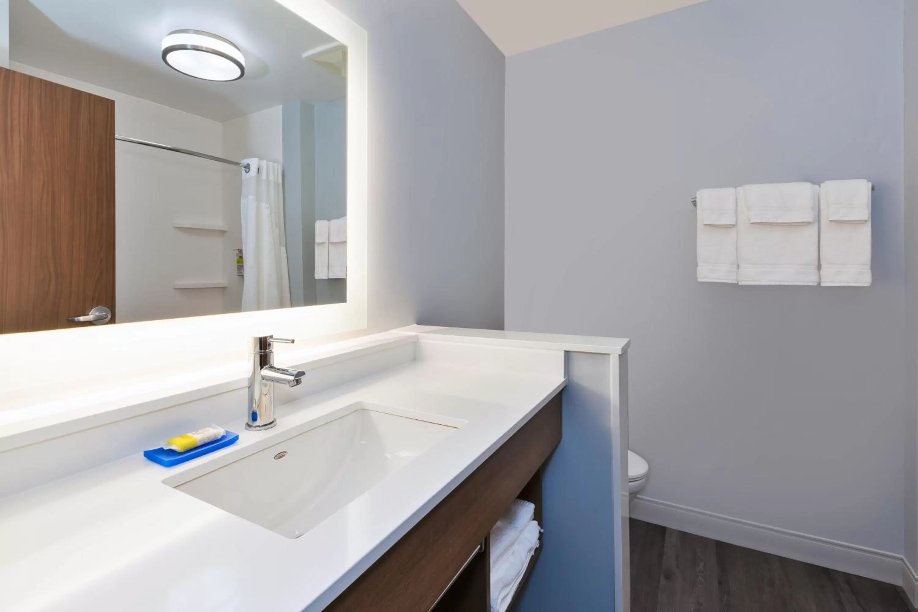 Bathroom in Holiday Inn Express & Suites - Cedar Springs - Grand Rapids N by IHG