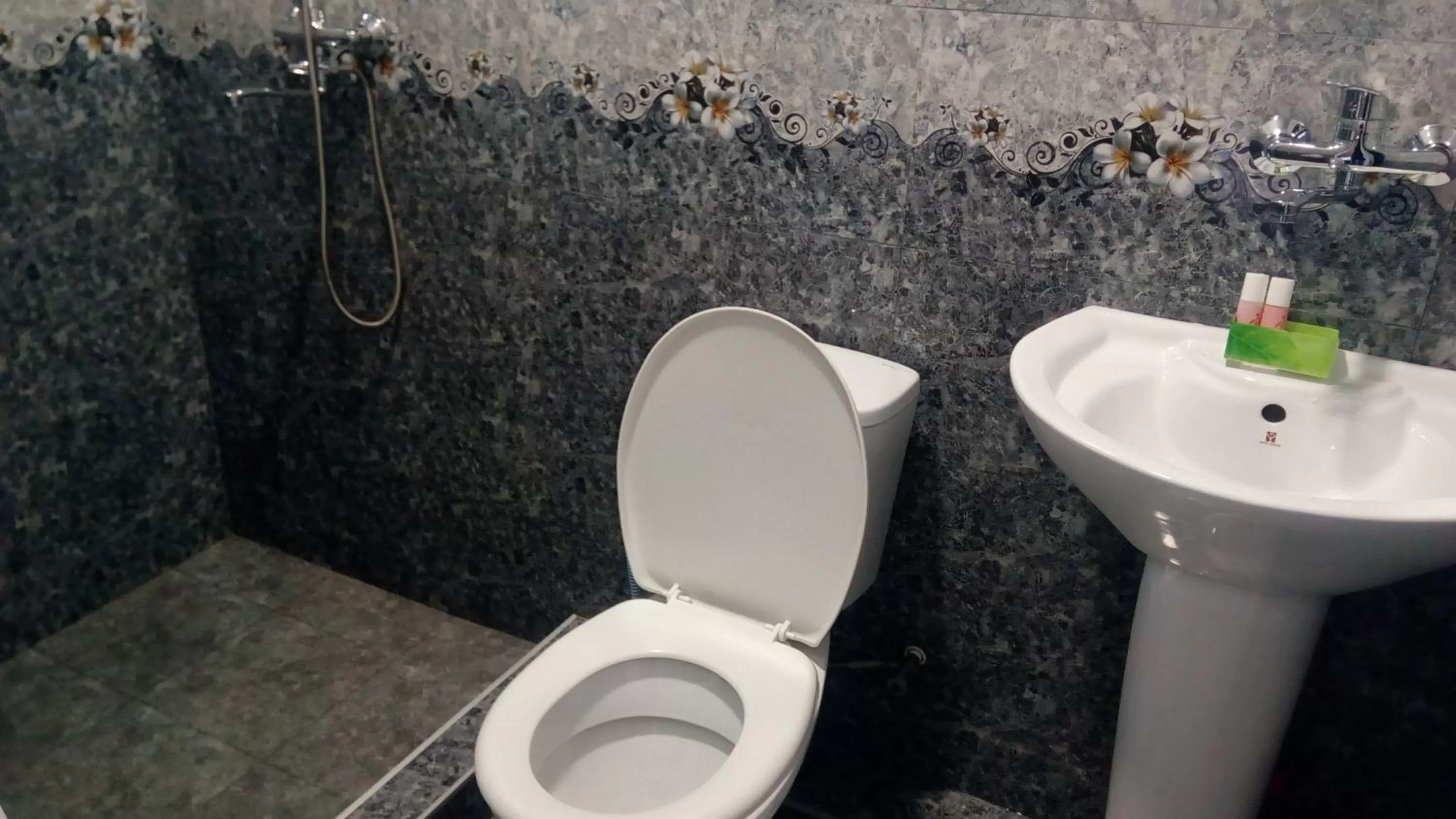 Shower, Bathroom in Hotel Isani