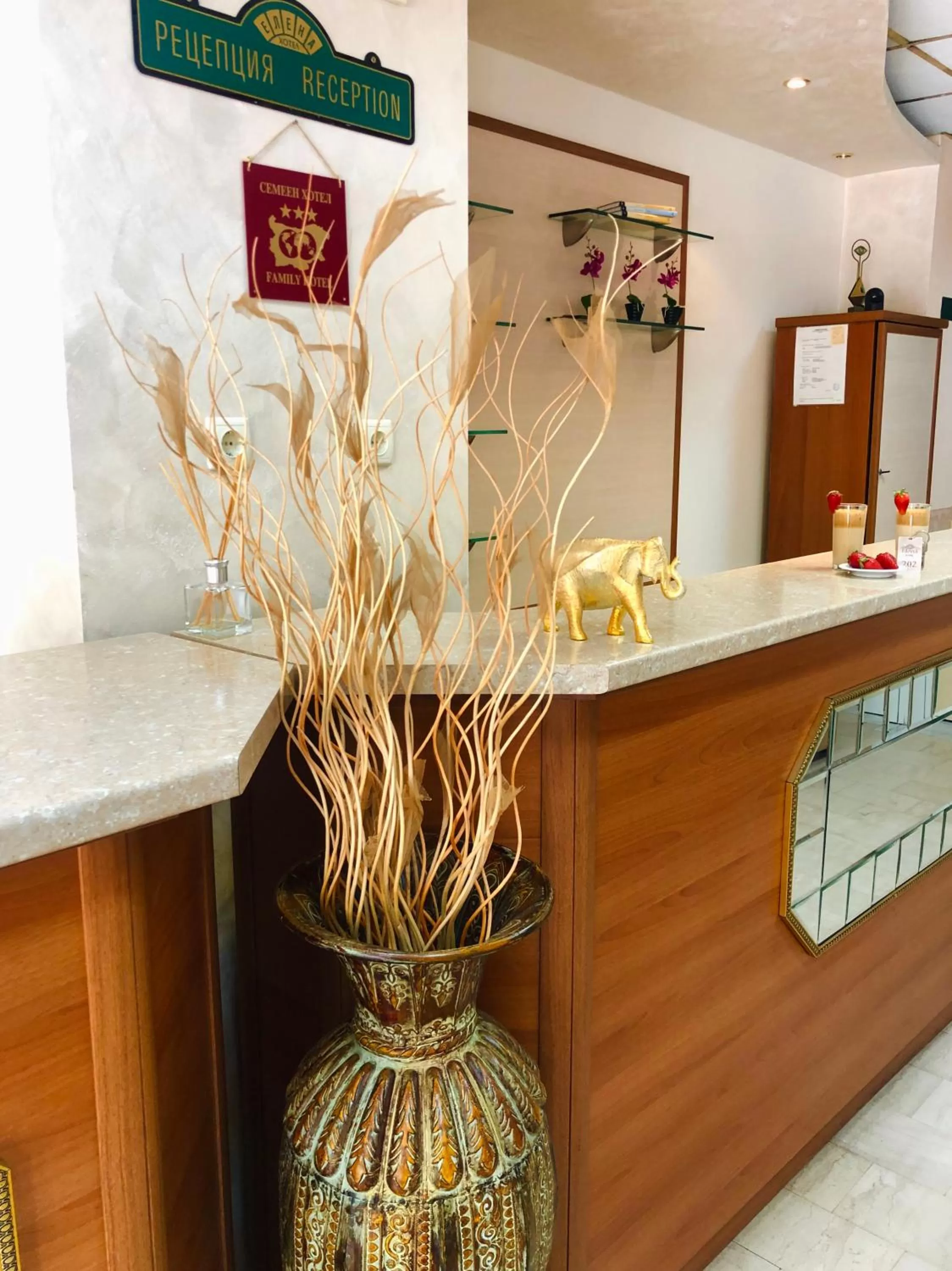 Lobby or reception in Elena Hotel