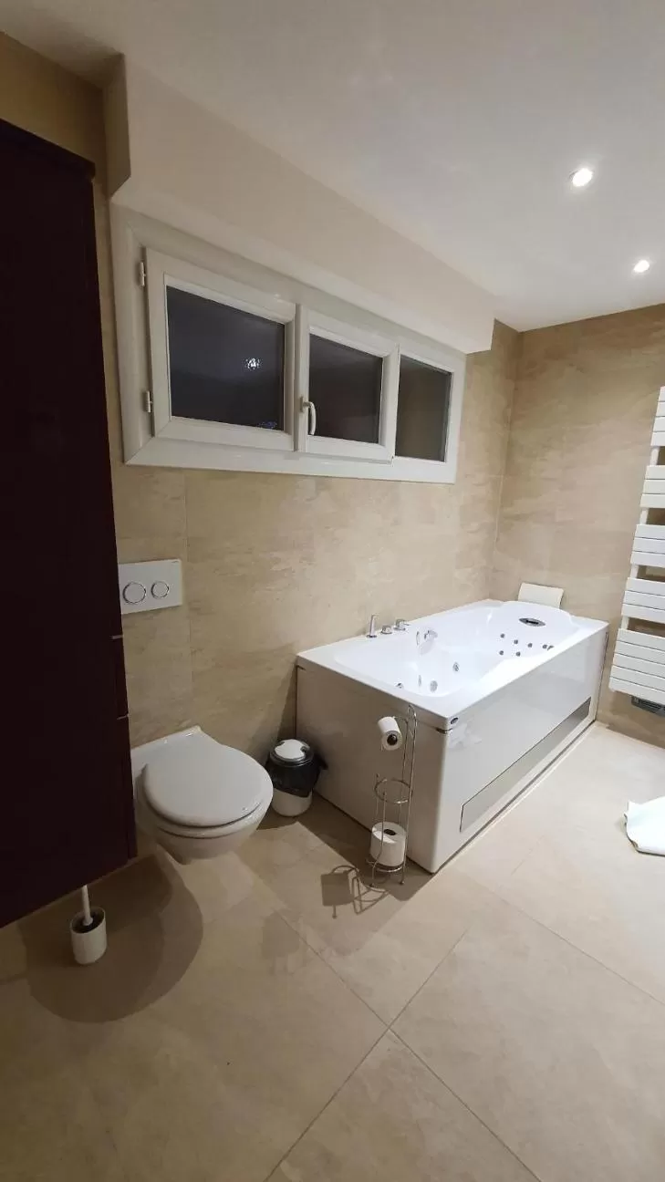 Toilet, Bathroom in Chambre Balnéo à Chaumont (Maison Bonhage)